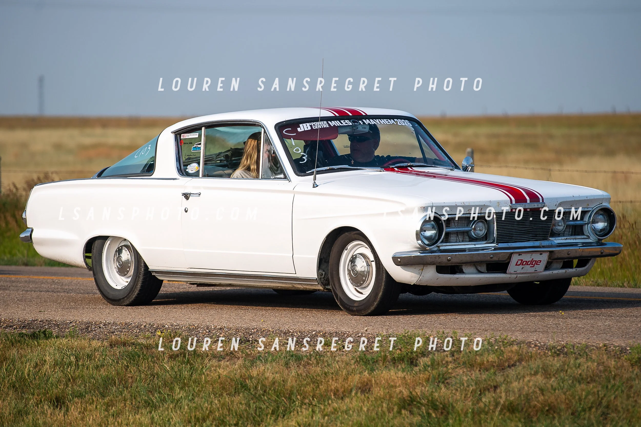LS3_8650.jpg