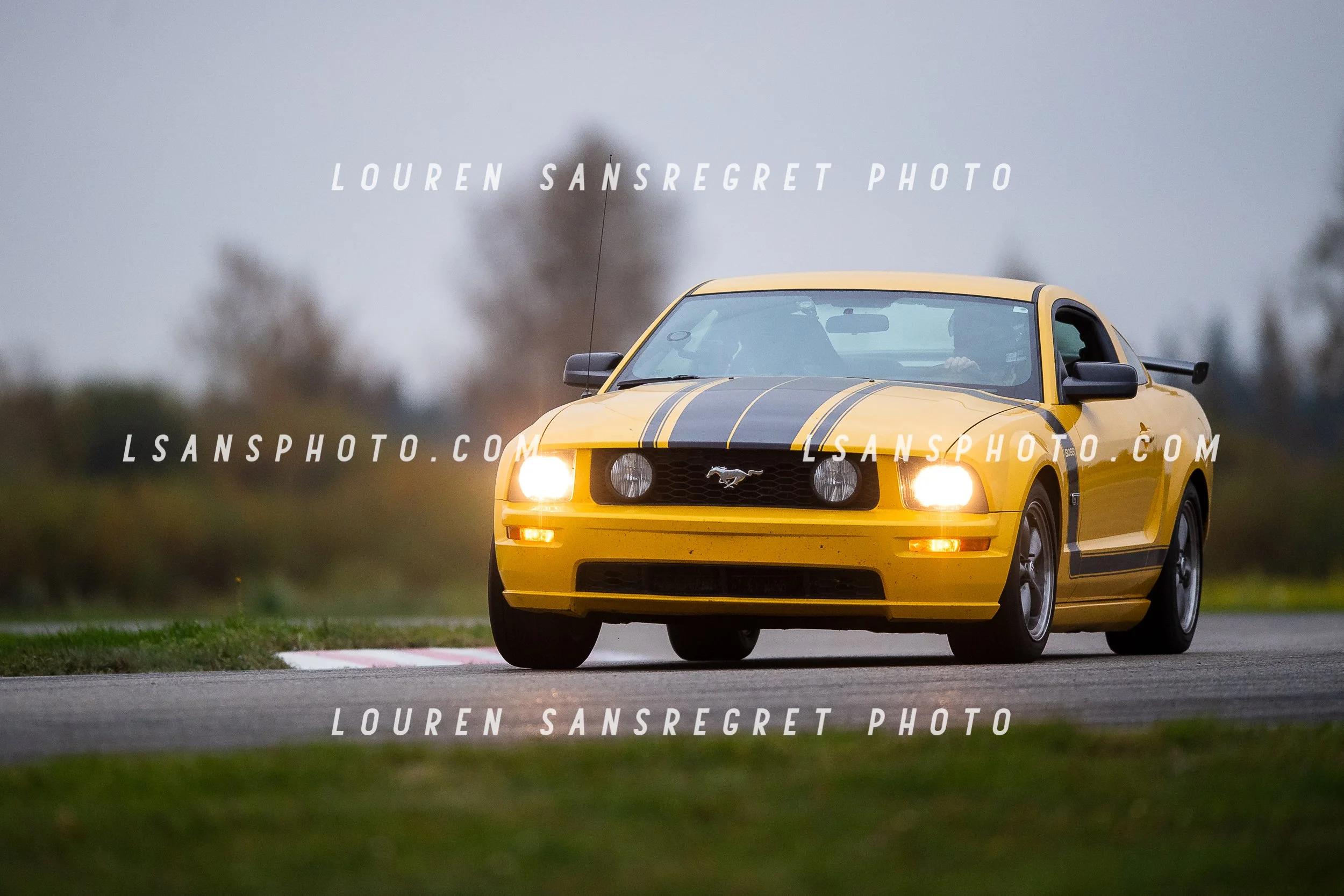 LS3_7978.jpg
