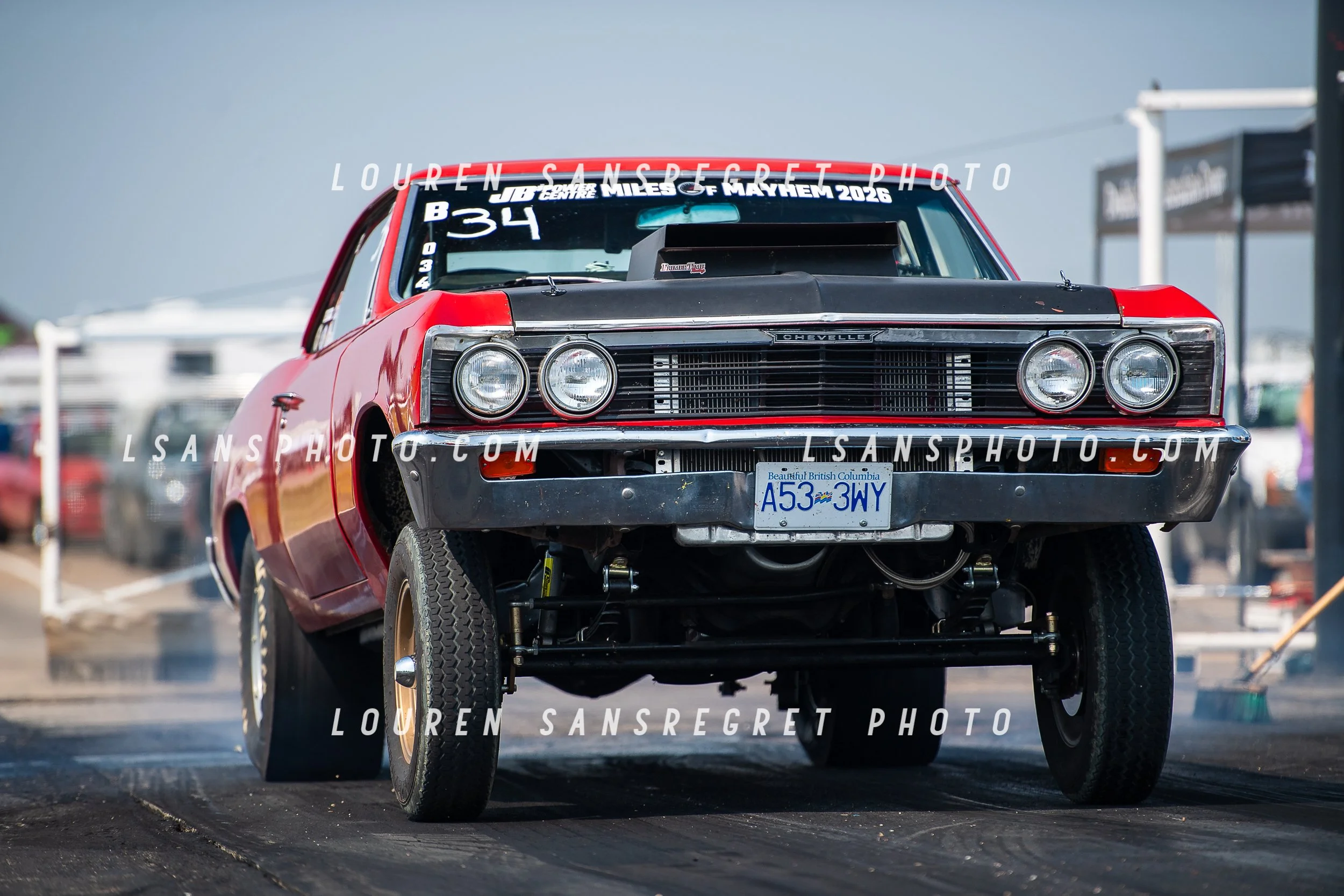 LS3_9261.jpg