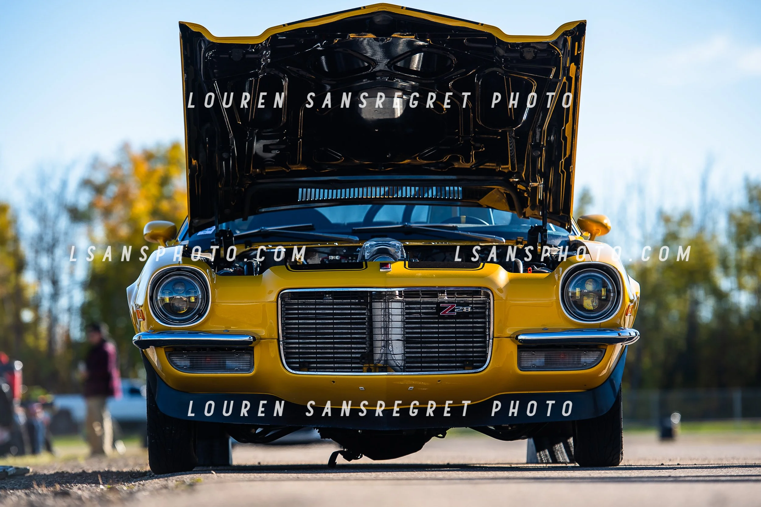 LS4_6414.jpg