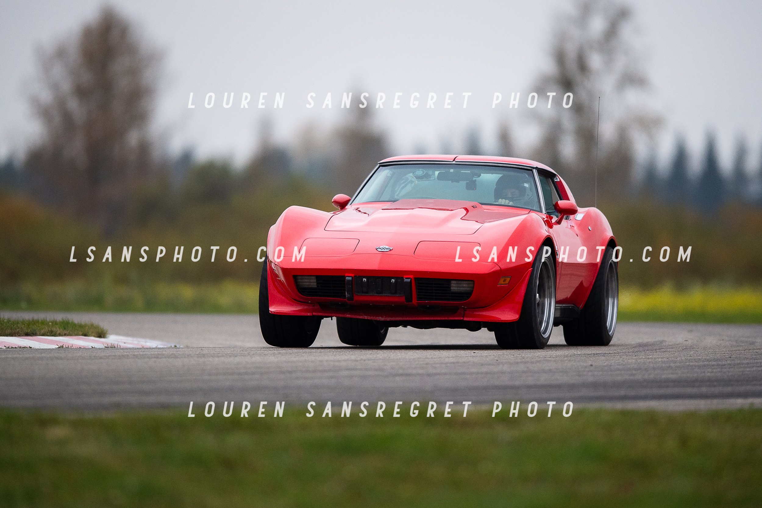 LS3_7965.jpg