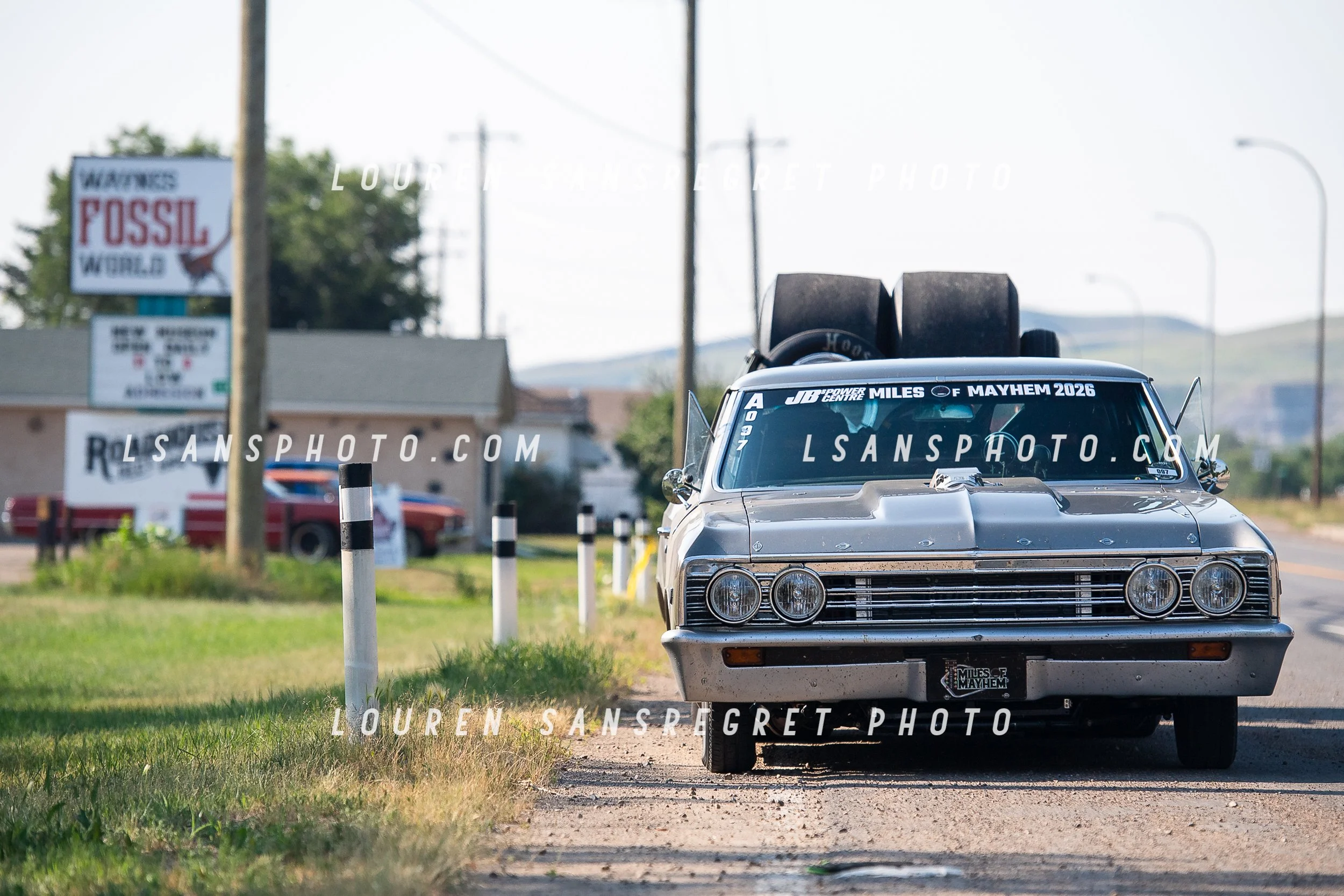 LS3_8393.jpg