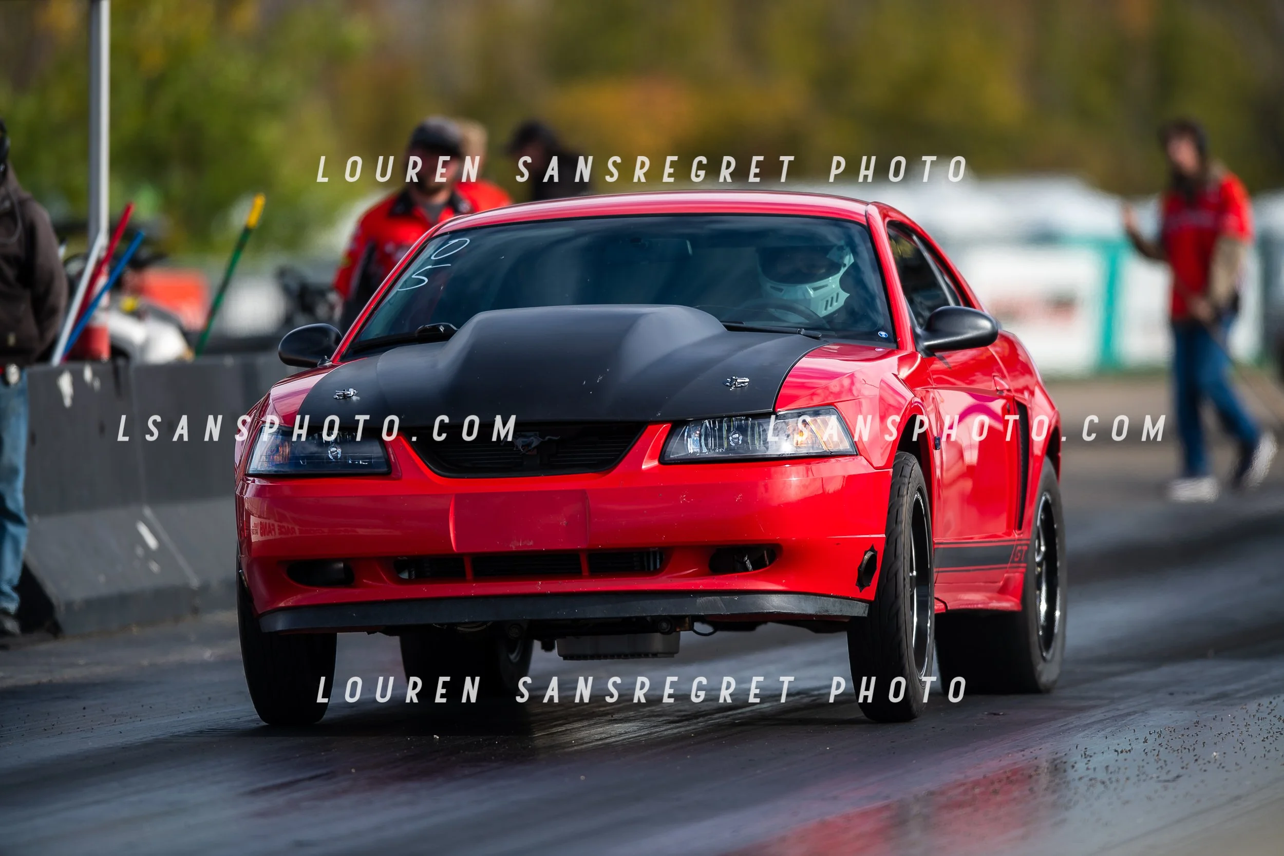 LS3_9008.jpg