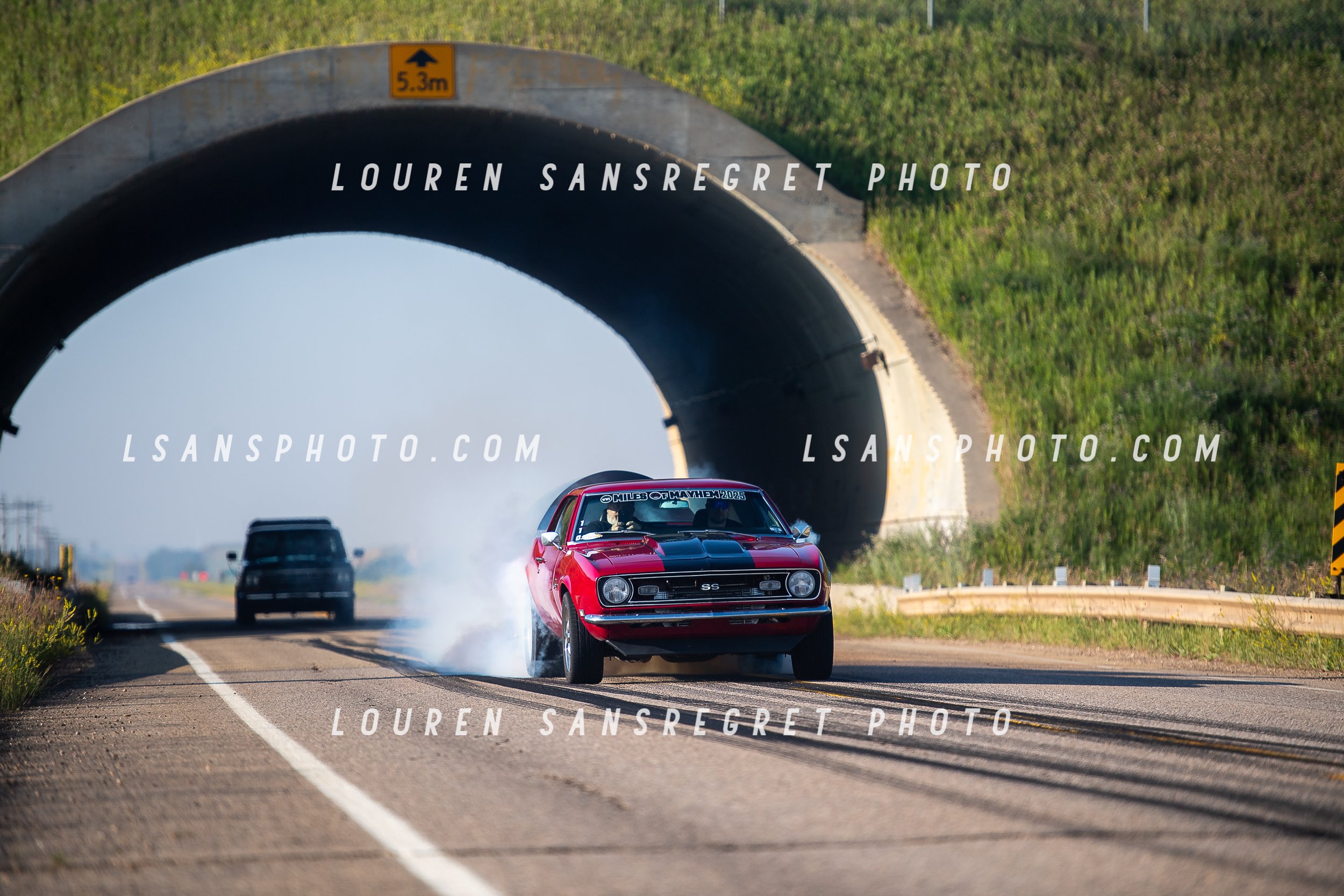 LS3_3736.jpg