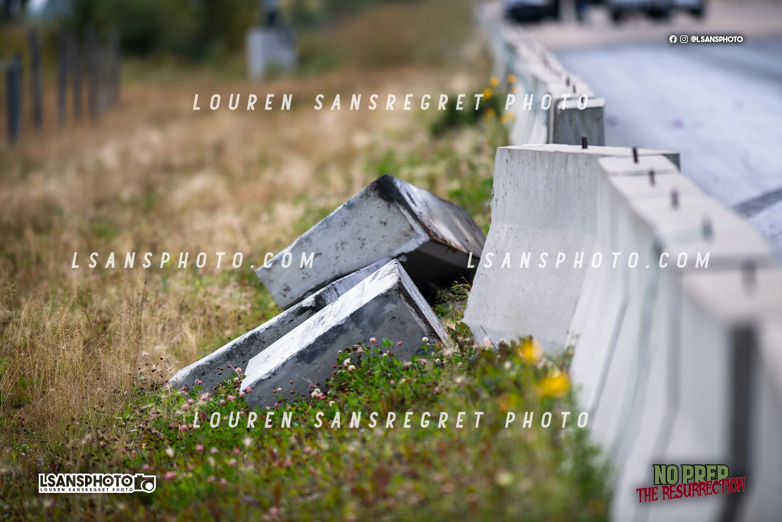 LS4_4486.jpg