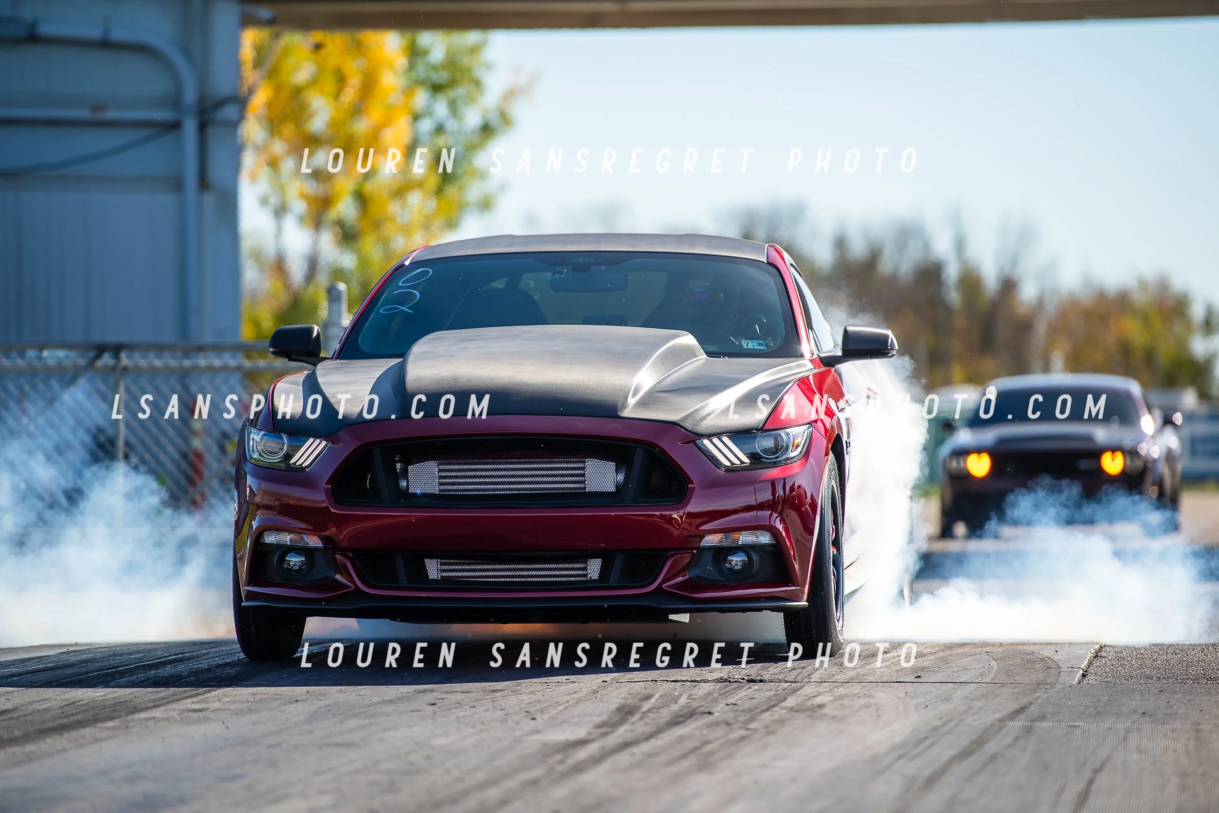 LS4_6470.jpg