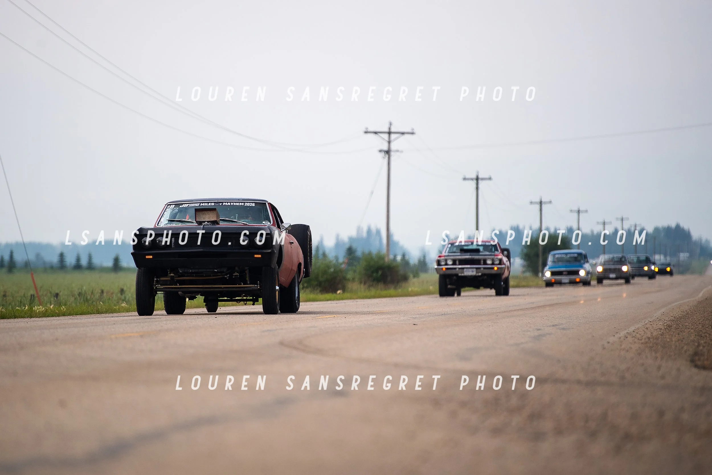 LS3_6073.jpg