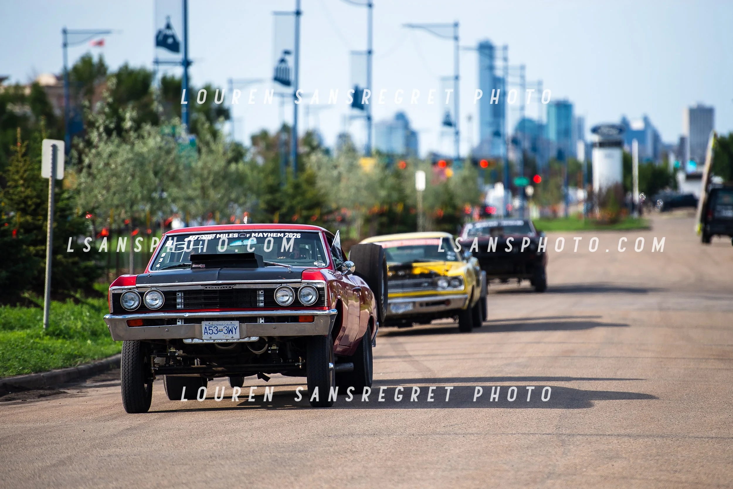LS3_4621.jpg