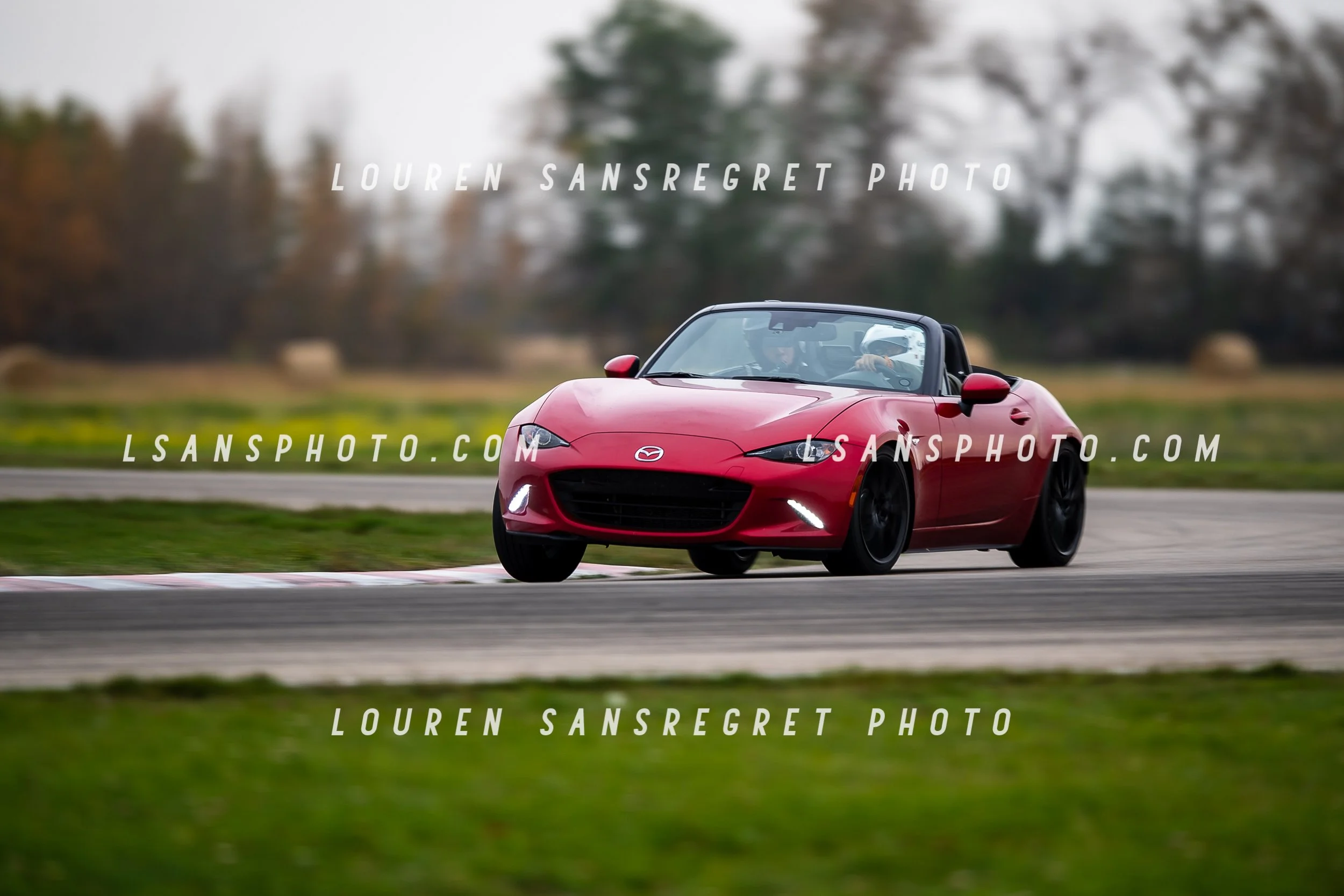 LS3_7509.jpg