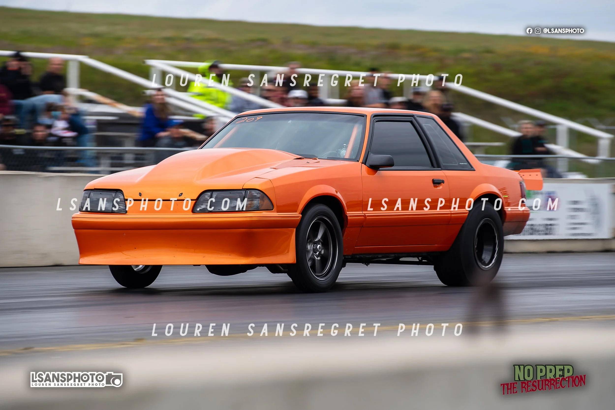 LS3_4587.jpg