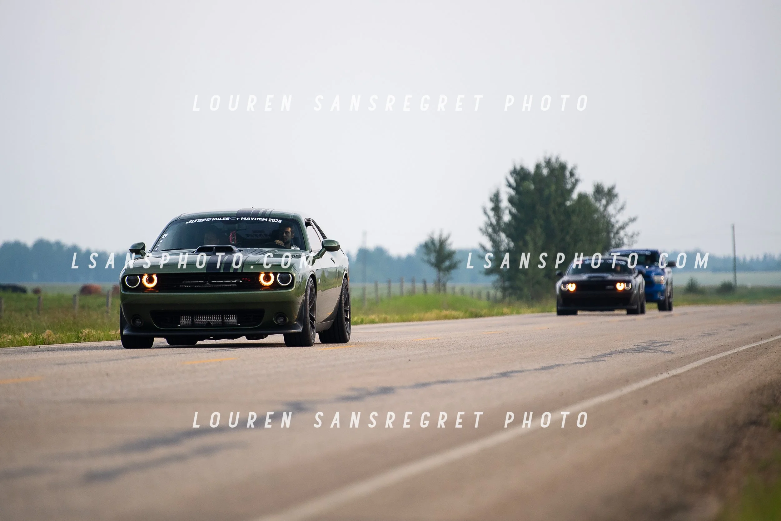 LS3_6002.jpg