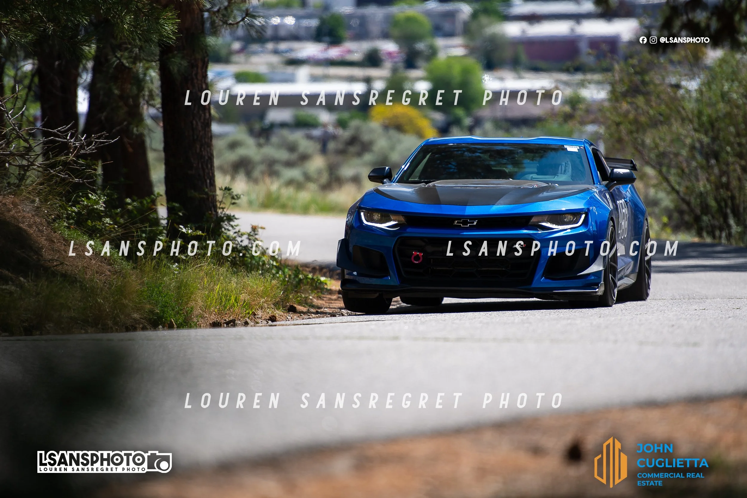 LS3_6421.jpg