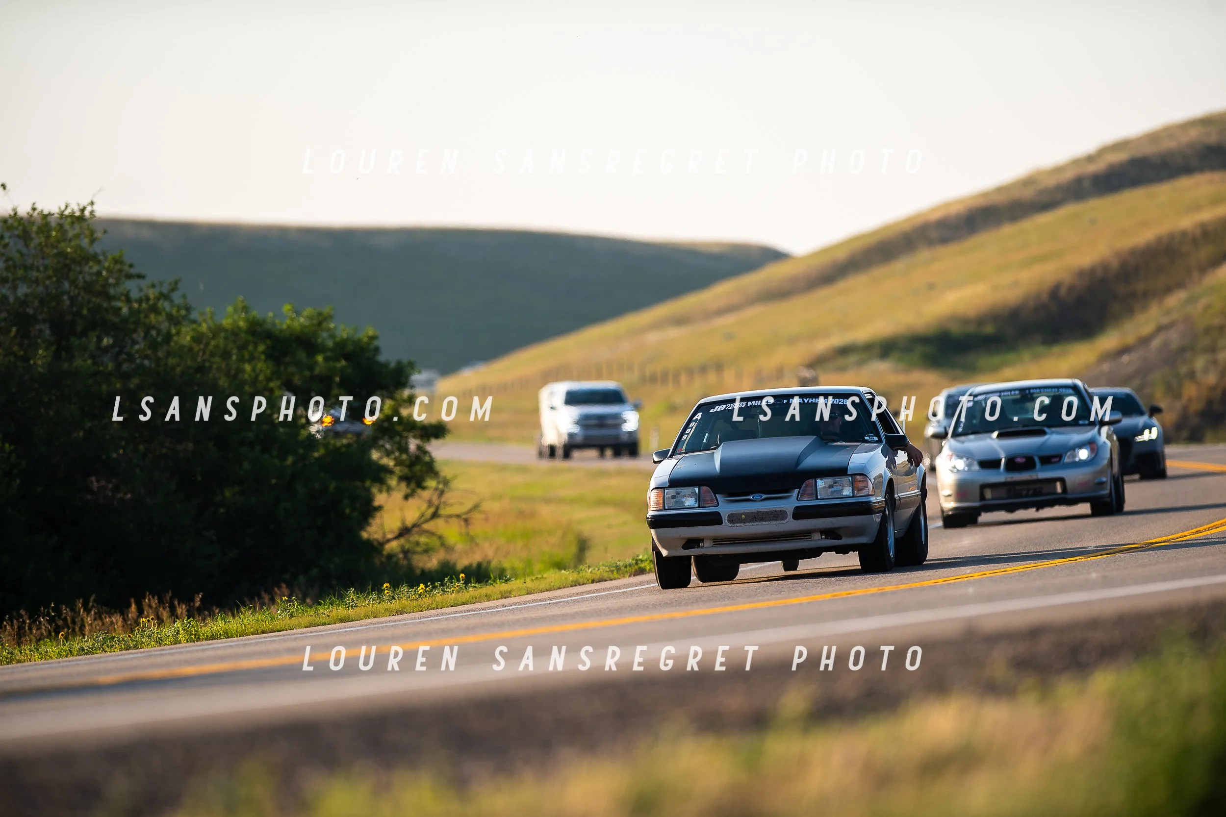 LS4_7123.jpg