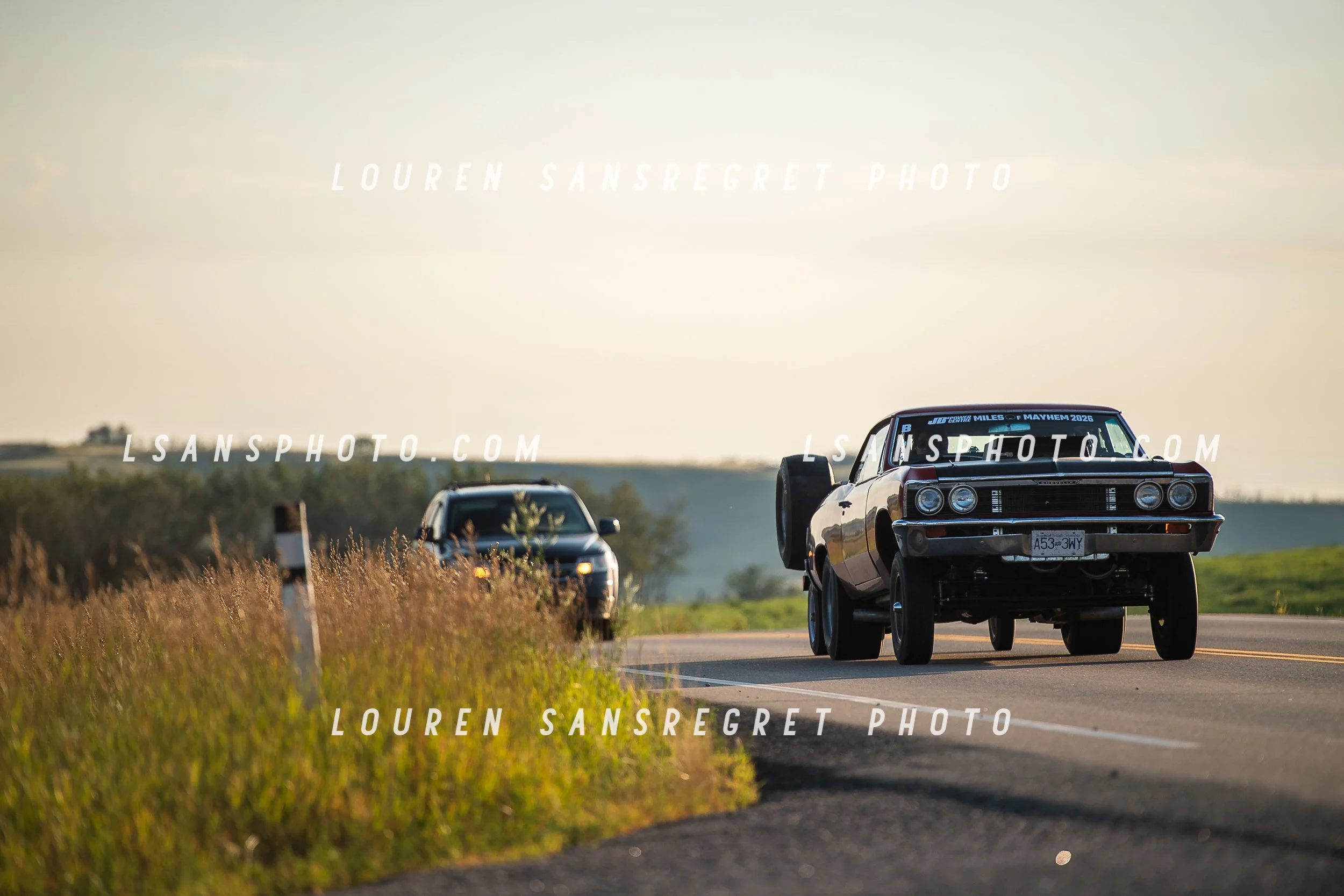 LS3_3110.jpg