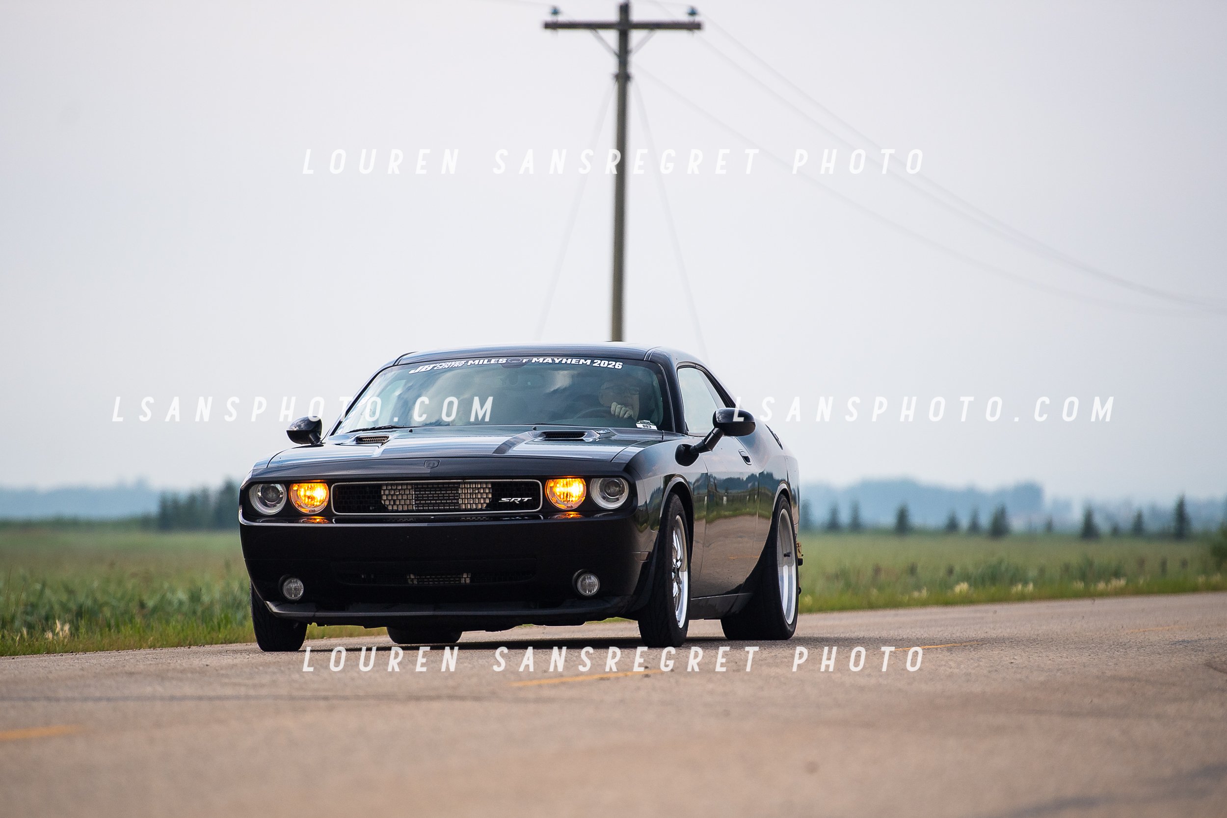 LS3_6105.jpg