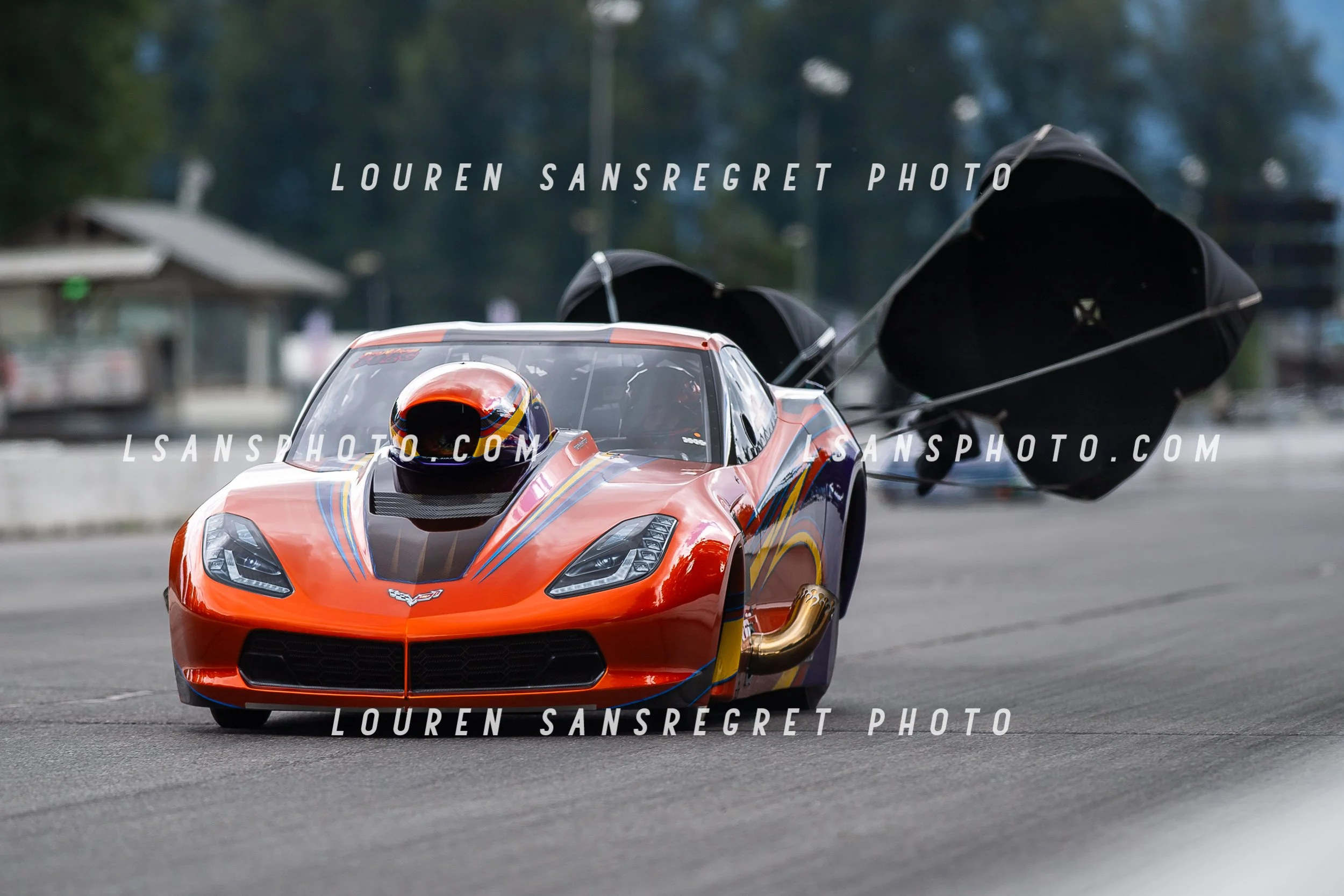 LS4_9417.jpg
