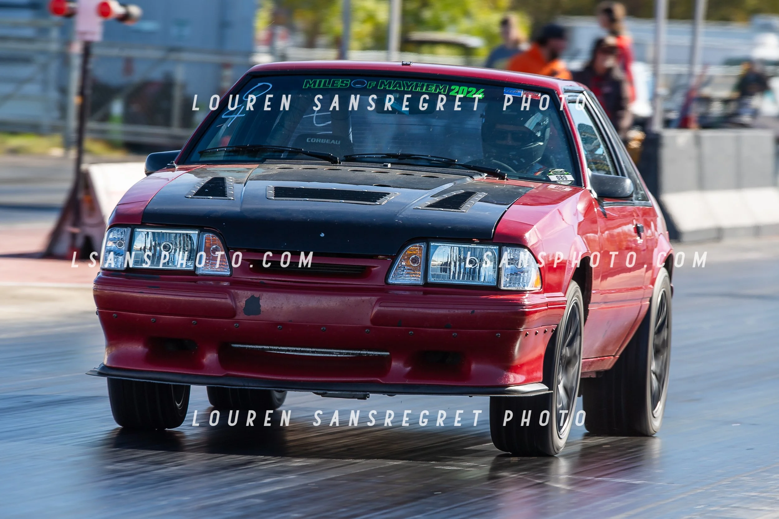 LS3_8496.jpg