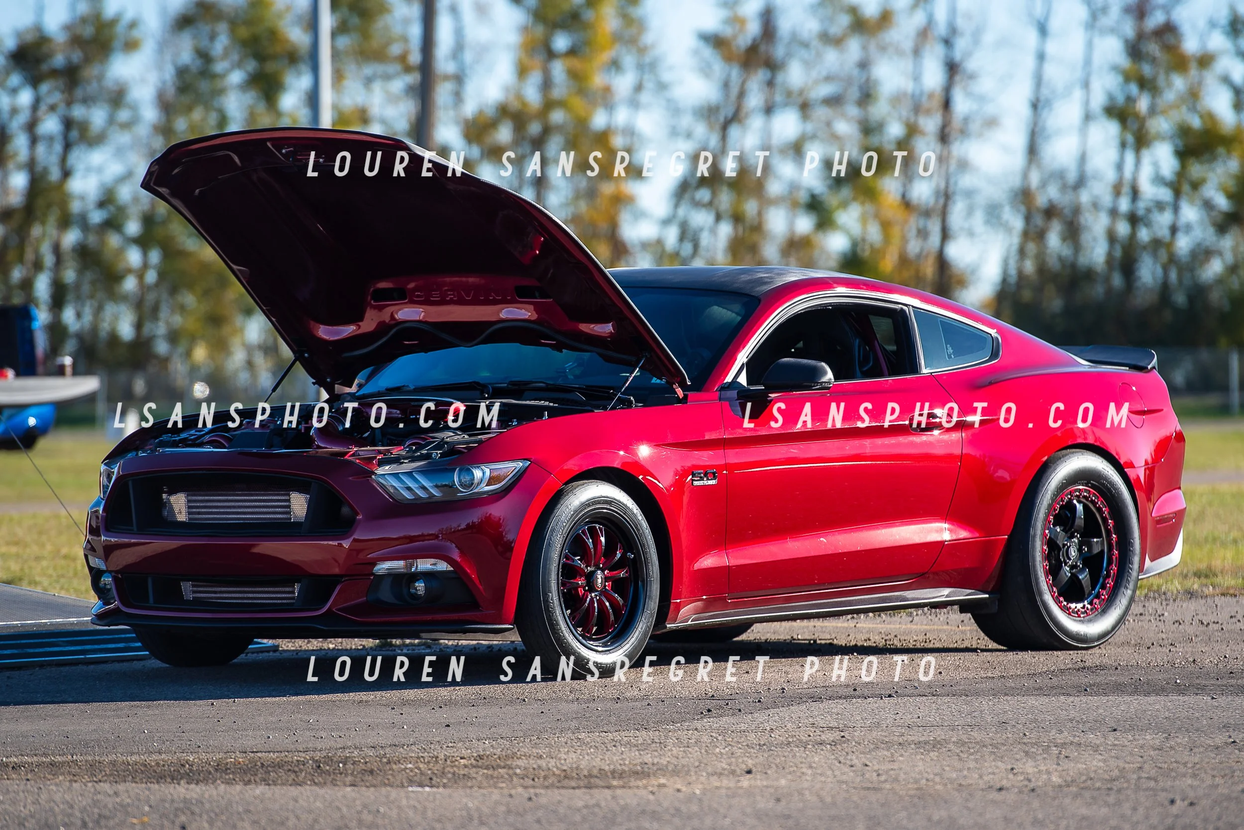 LS4_6363.jpg