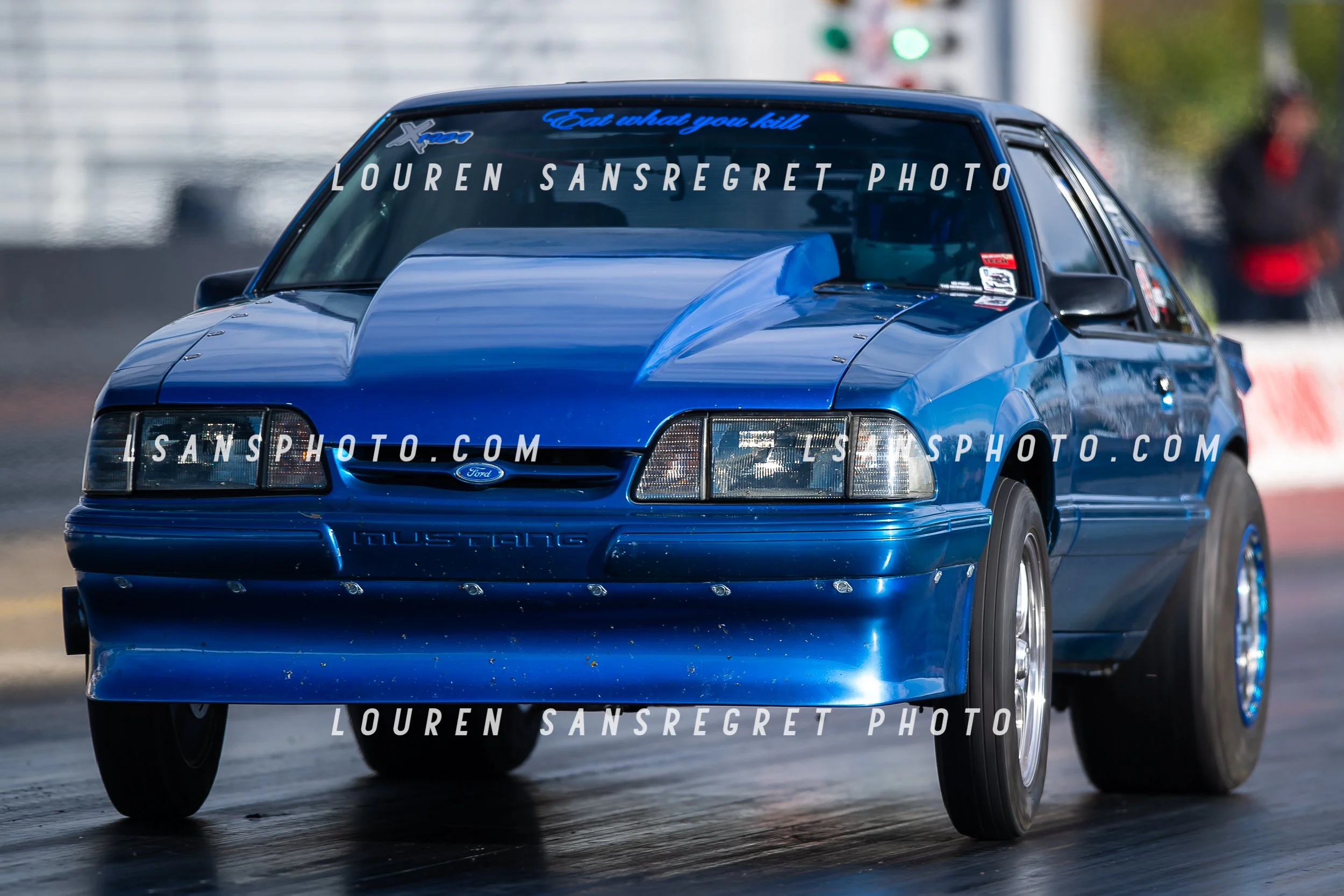 LS3_9316.jpg
