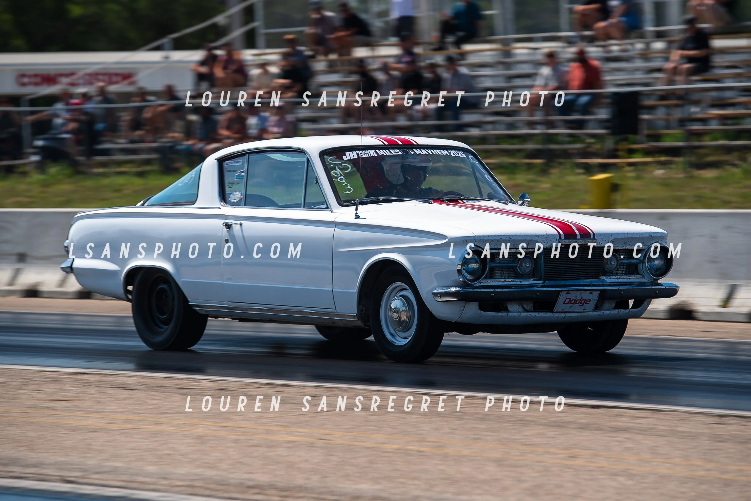 LS3_2369.jpg