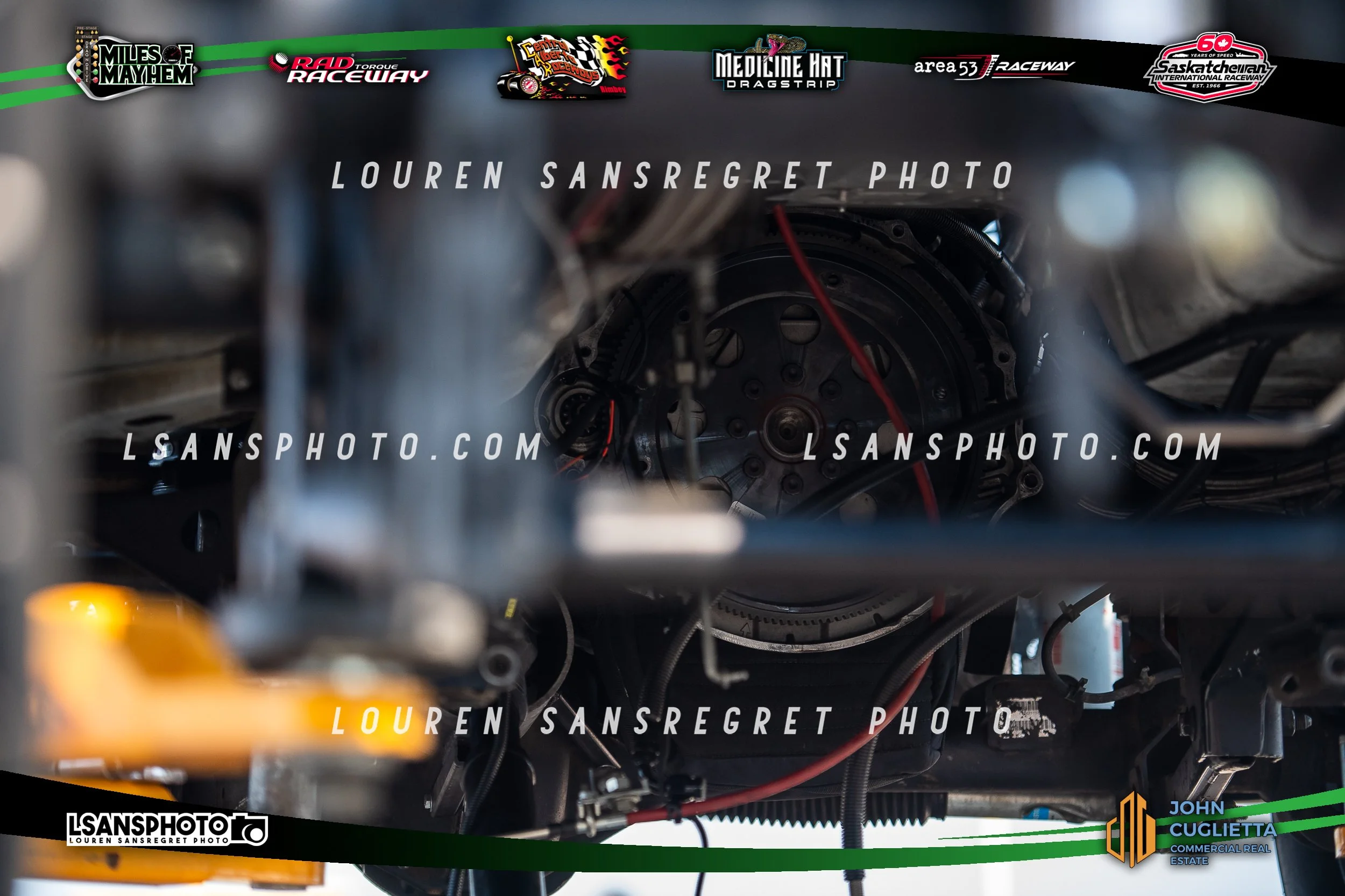 LS3_9521.jpg