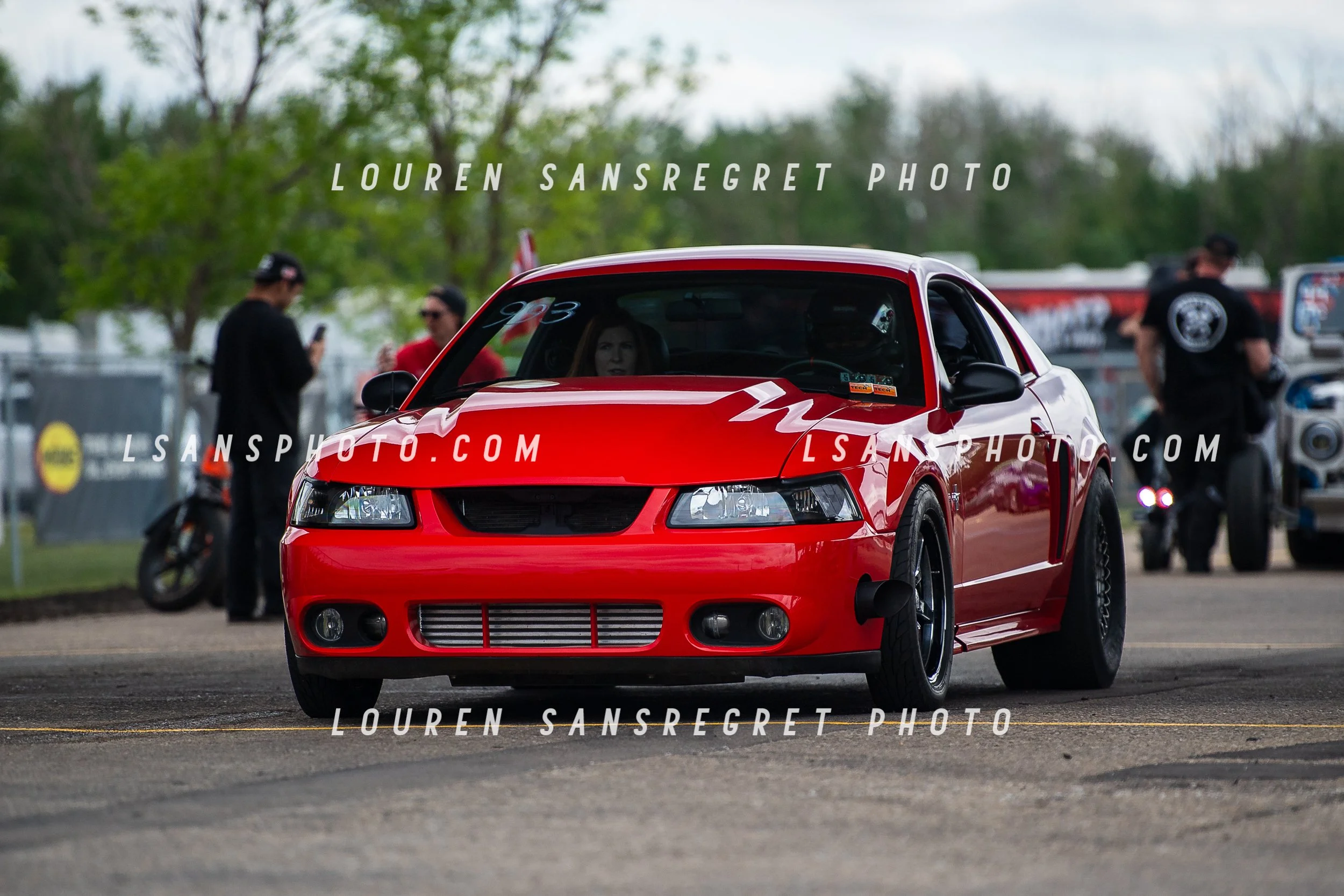 LS3_0782.jpg
