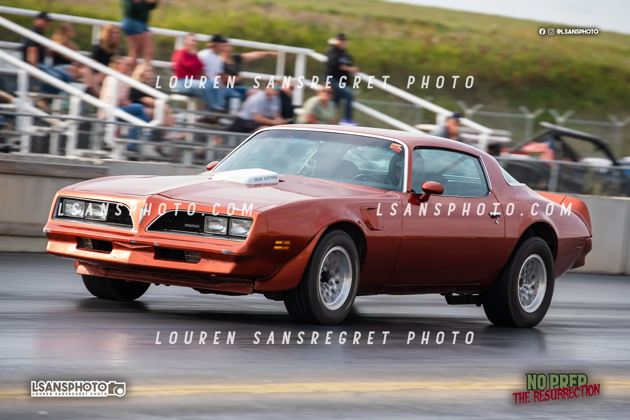 LS4_2124.jpg