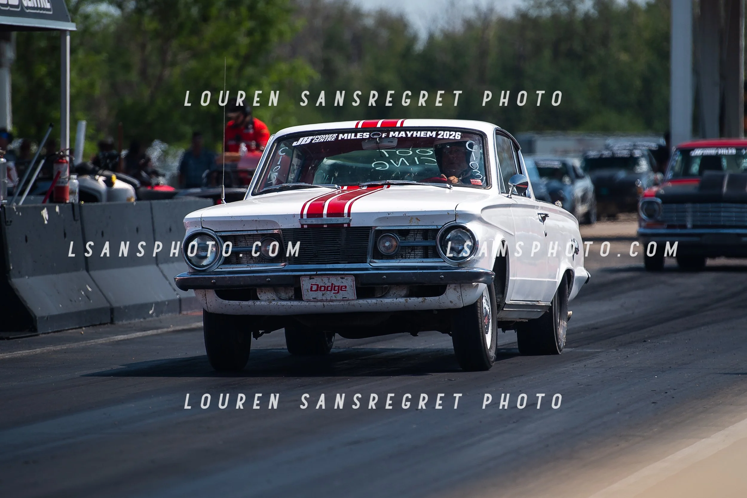 LS3_7445.jpg