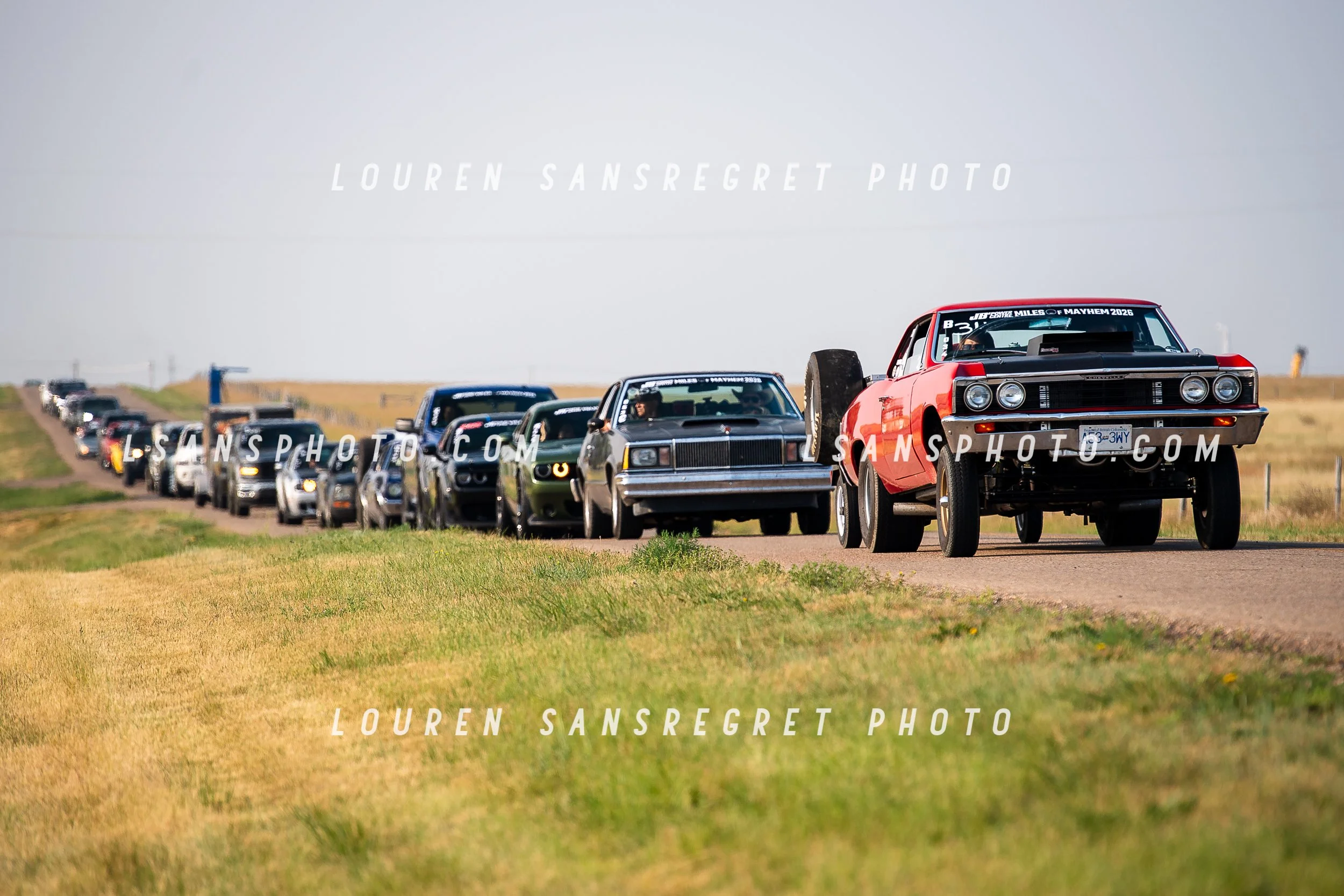 LS3_8565.jpg