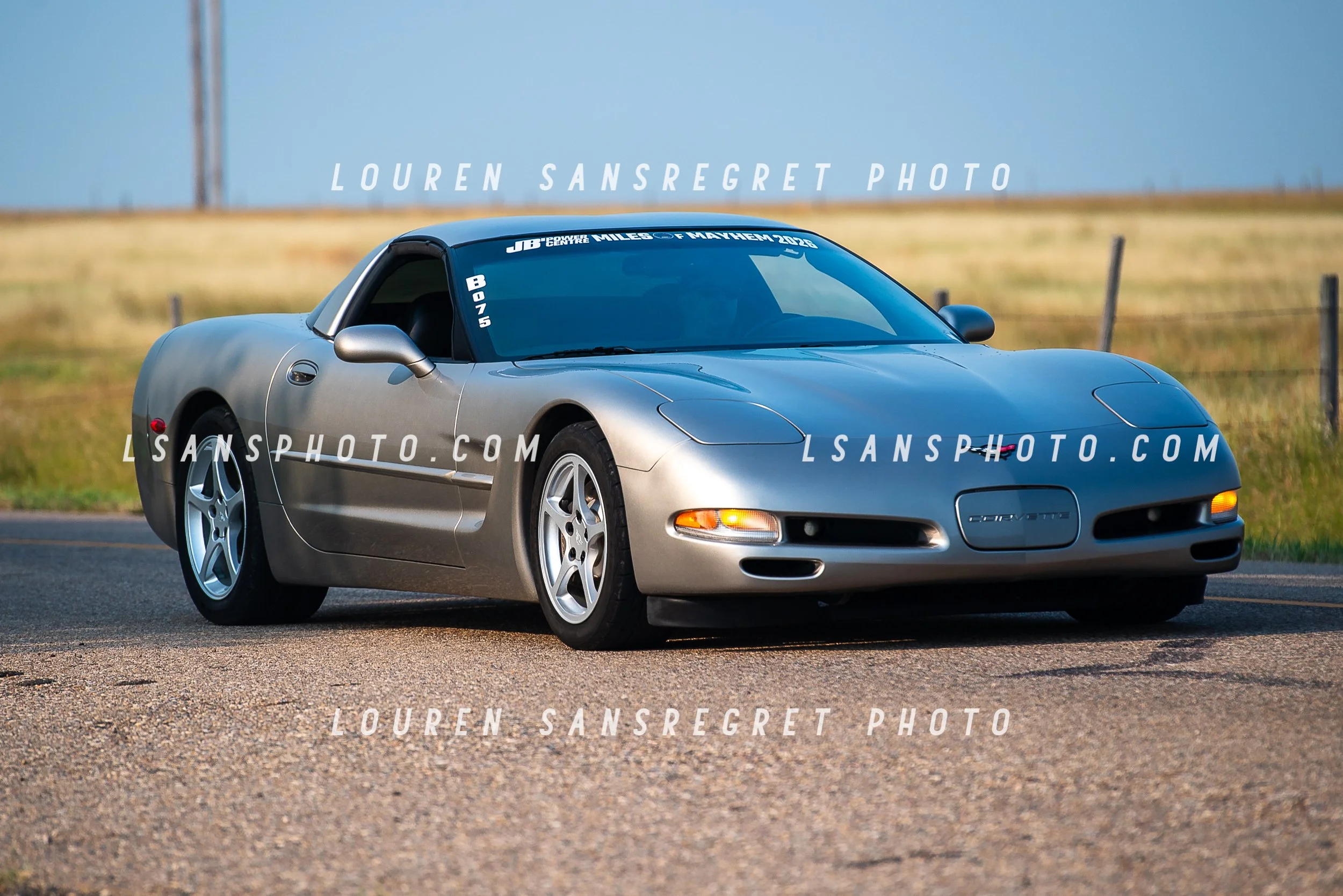 LS3_8625.jpg