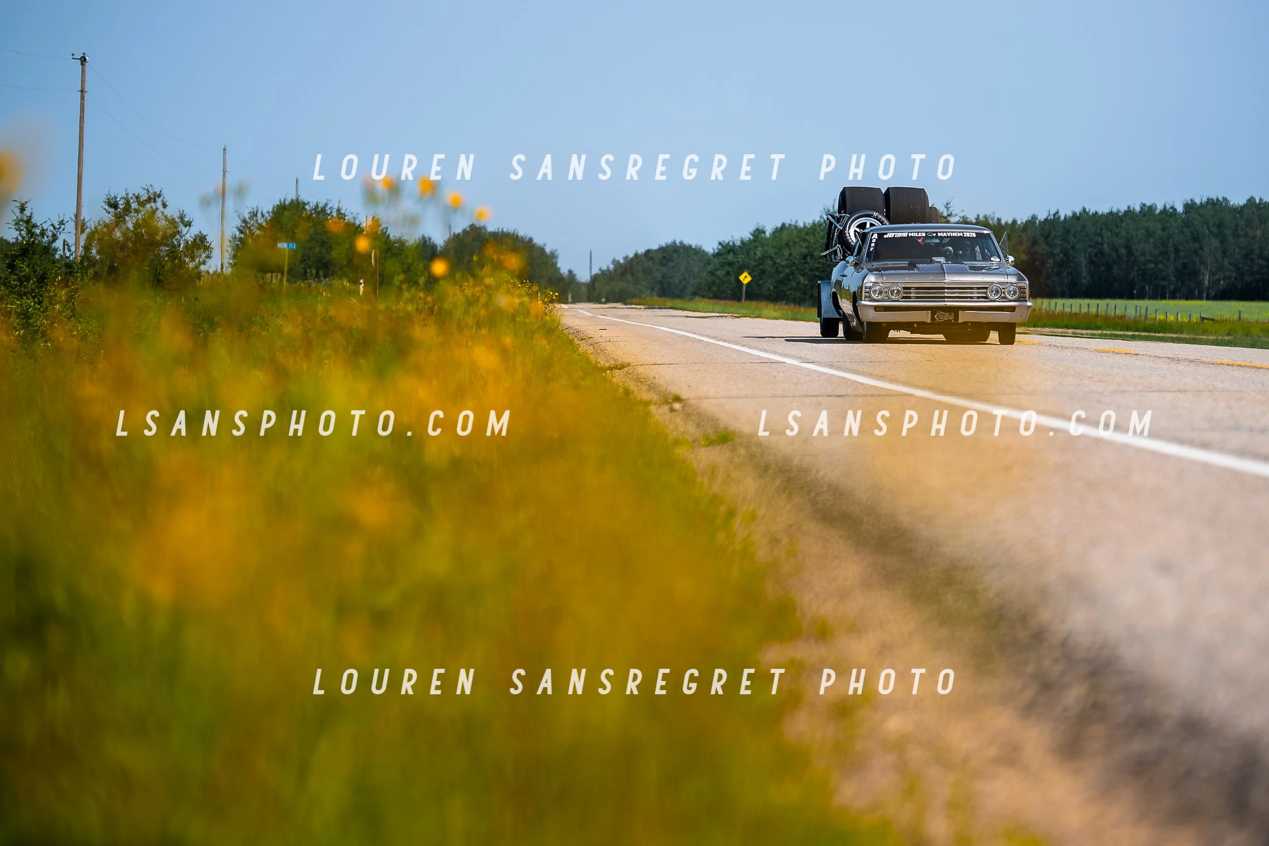 LS3_4200.jpg