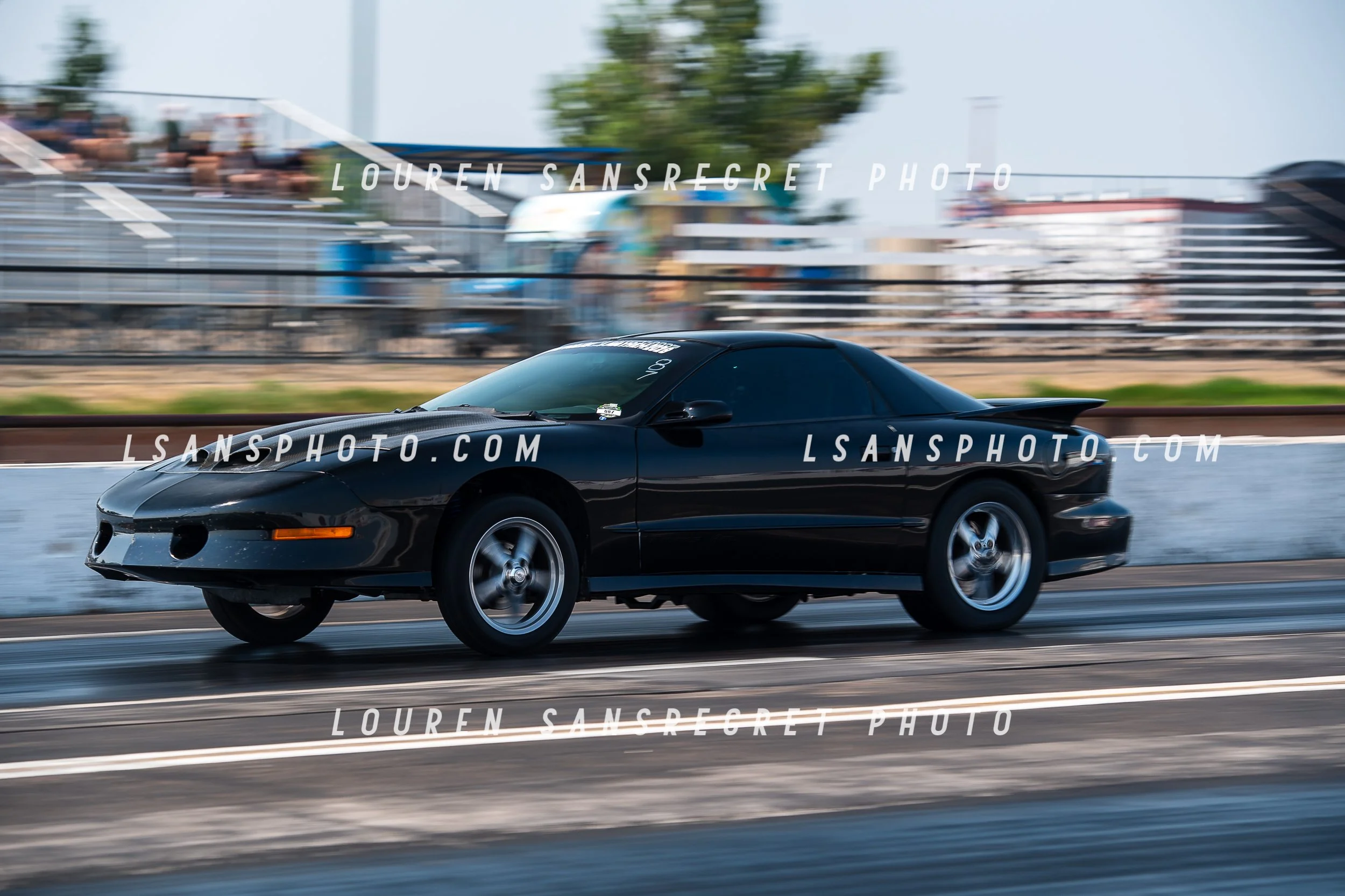 LS3_9071.jpg
