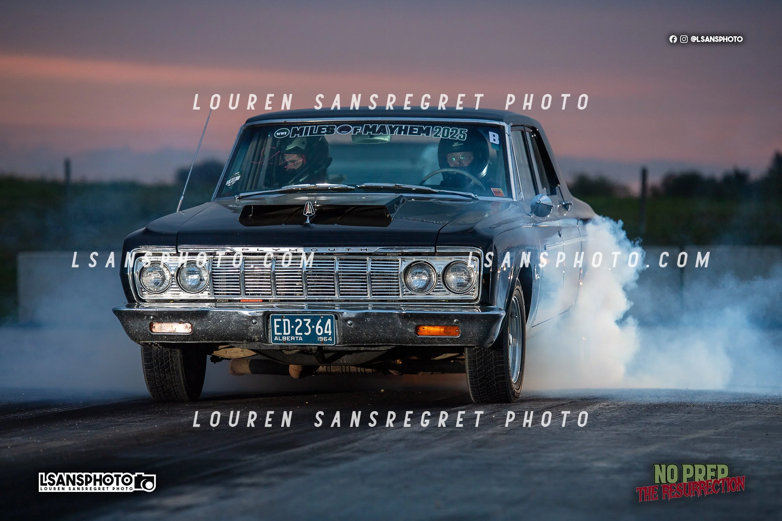 LS4_3410.jpg