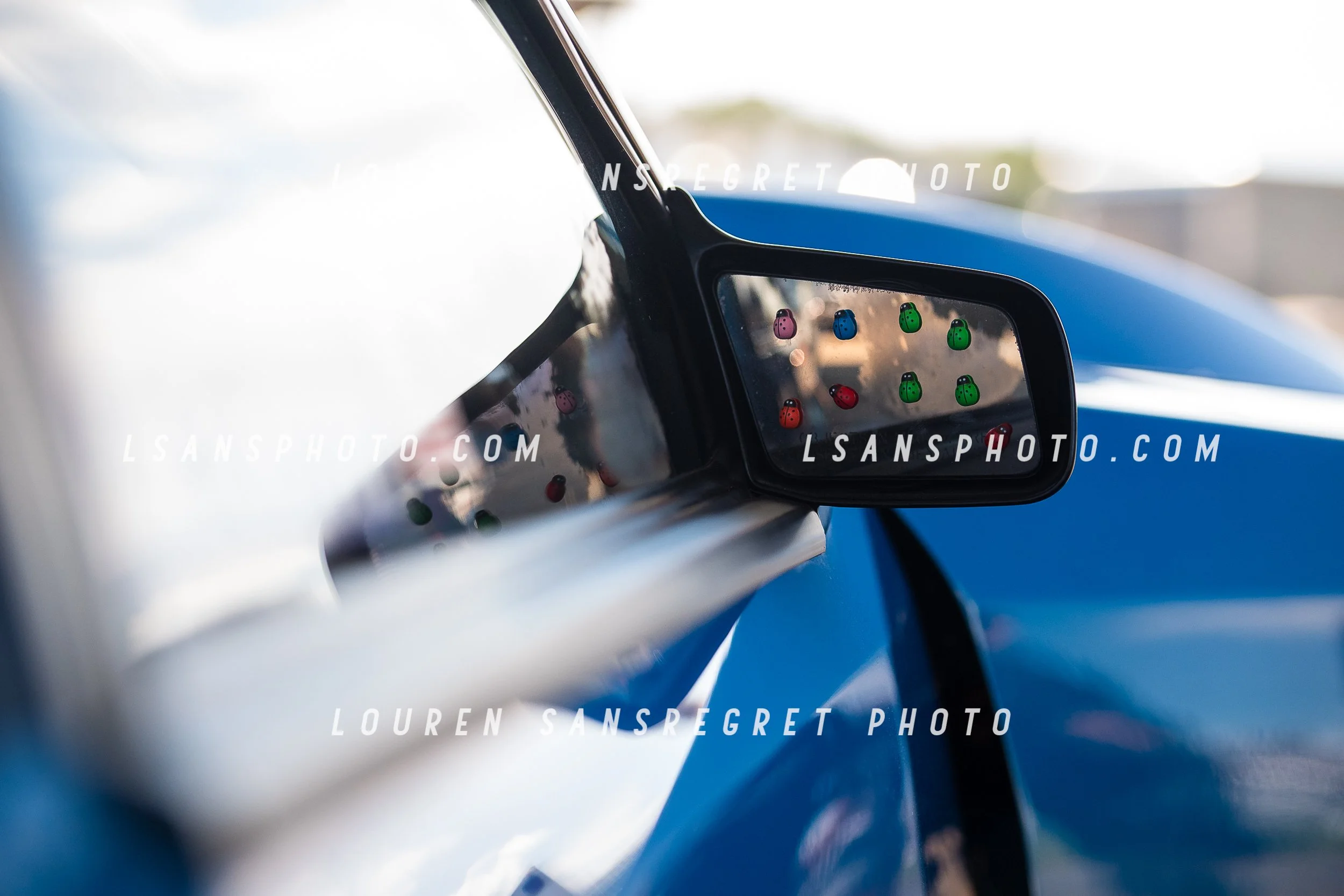 LS4_6083.jpg
