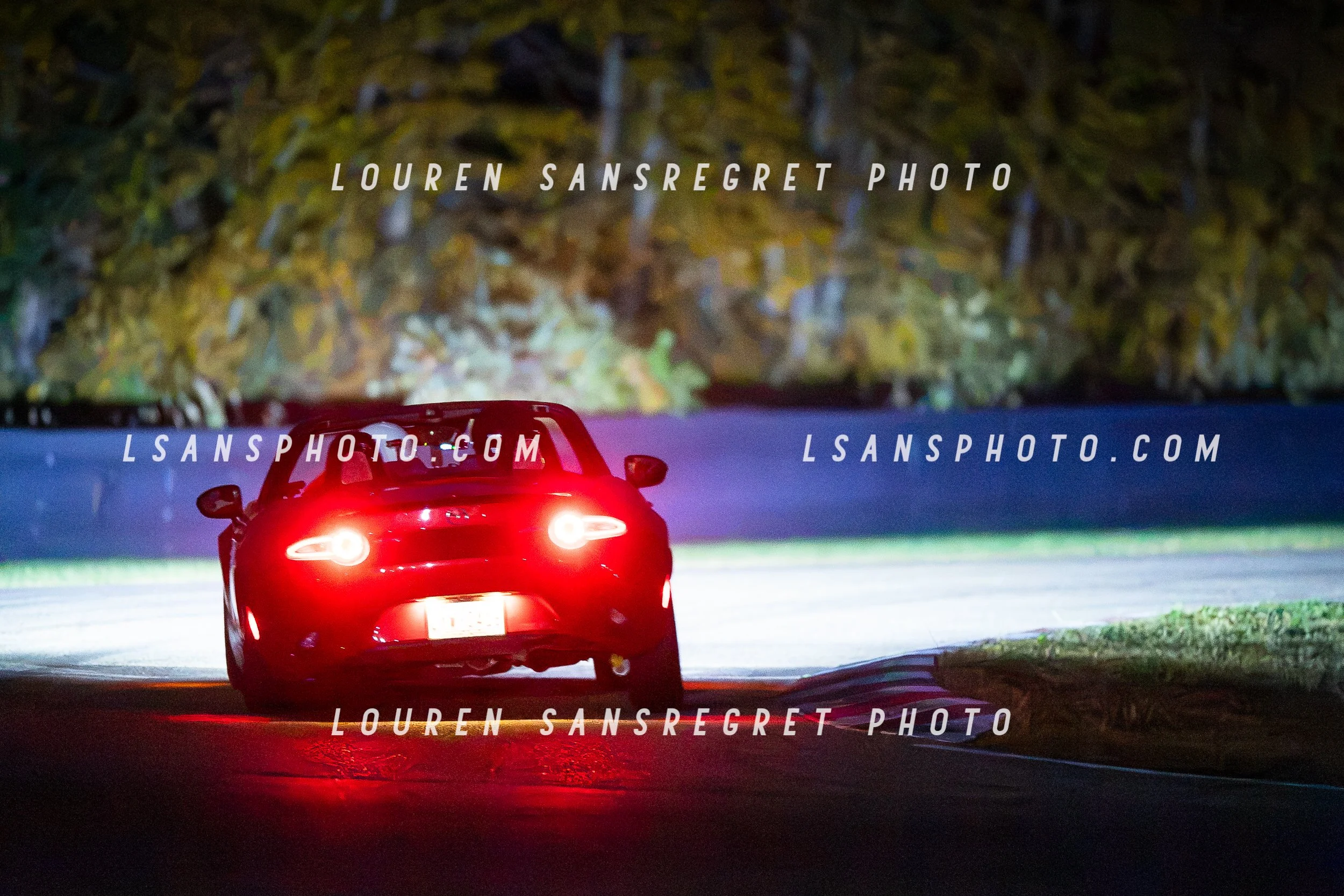 LS3_8242.jpg