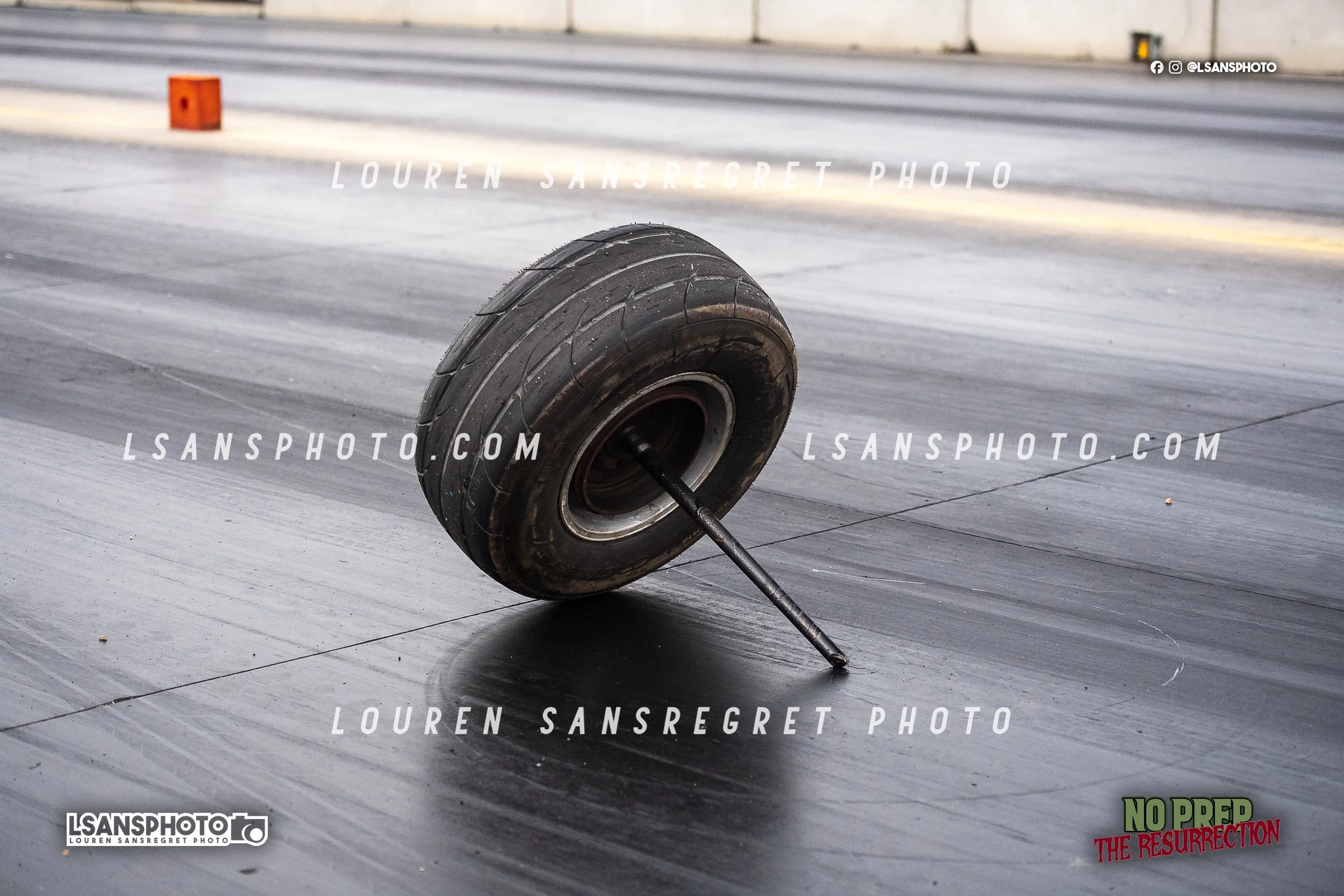 LS4_3211.jpg