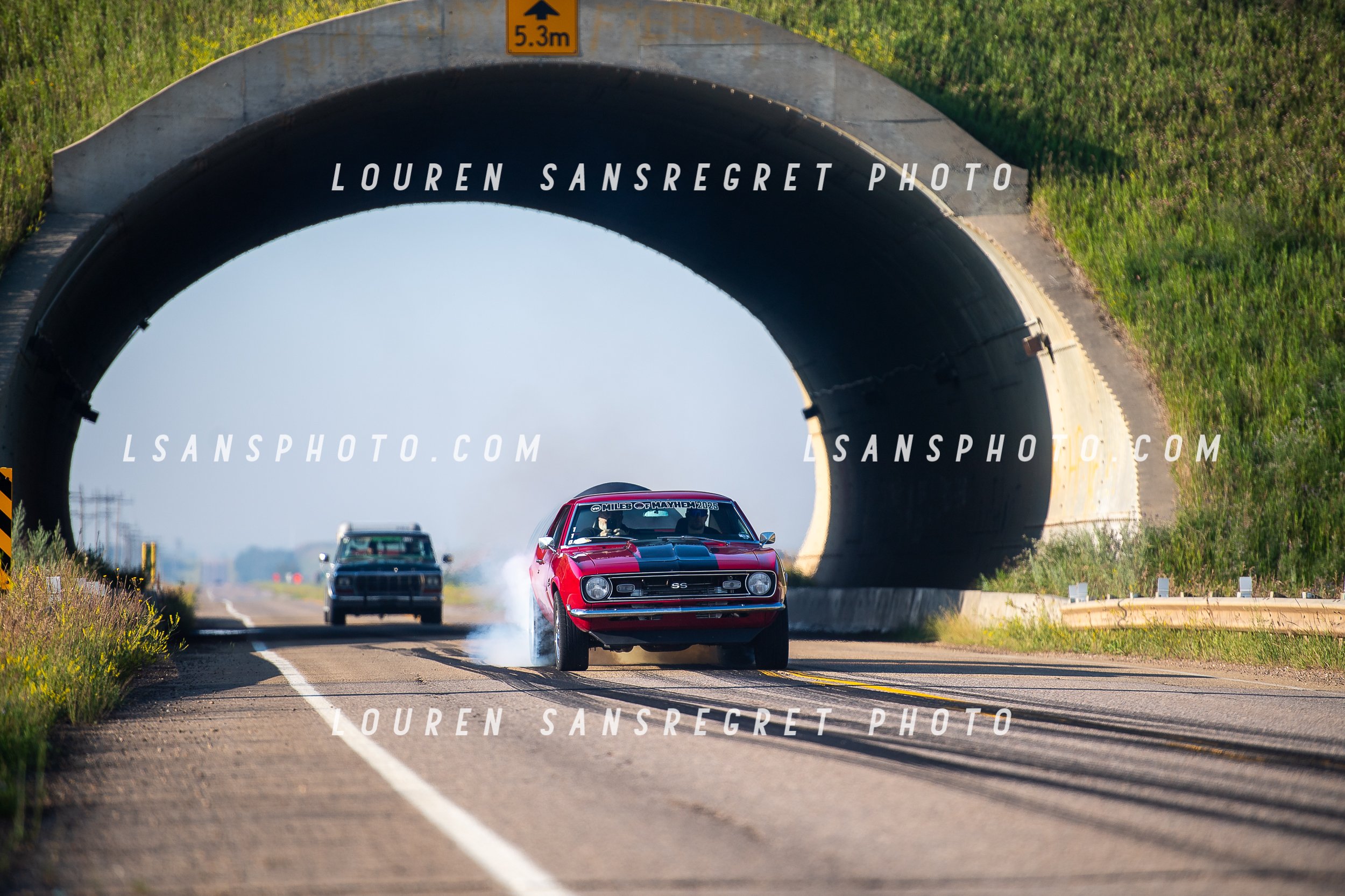 LS3_3731.jpg