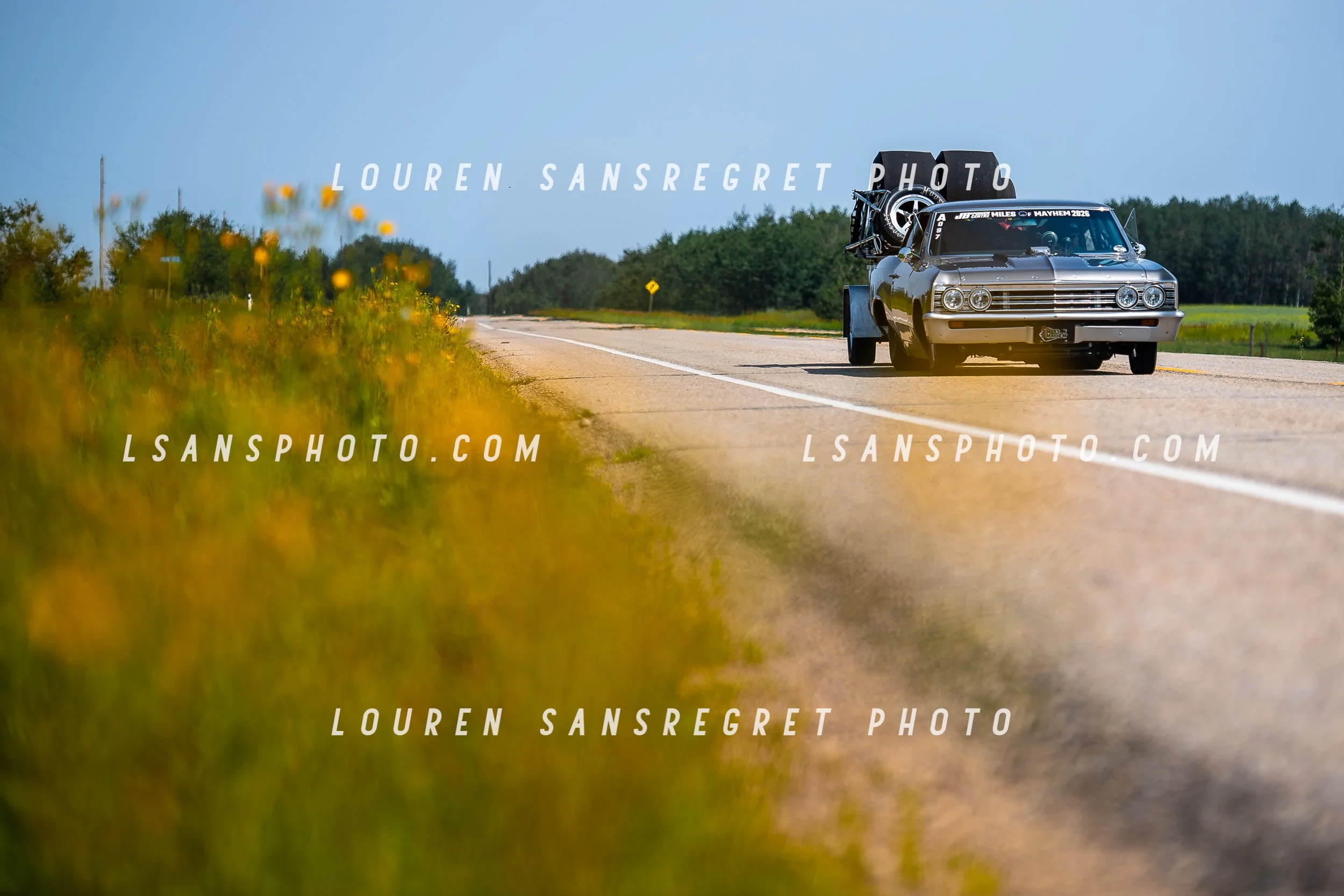 LS3_4202.jpg