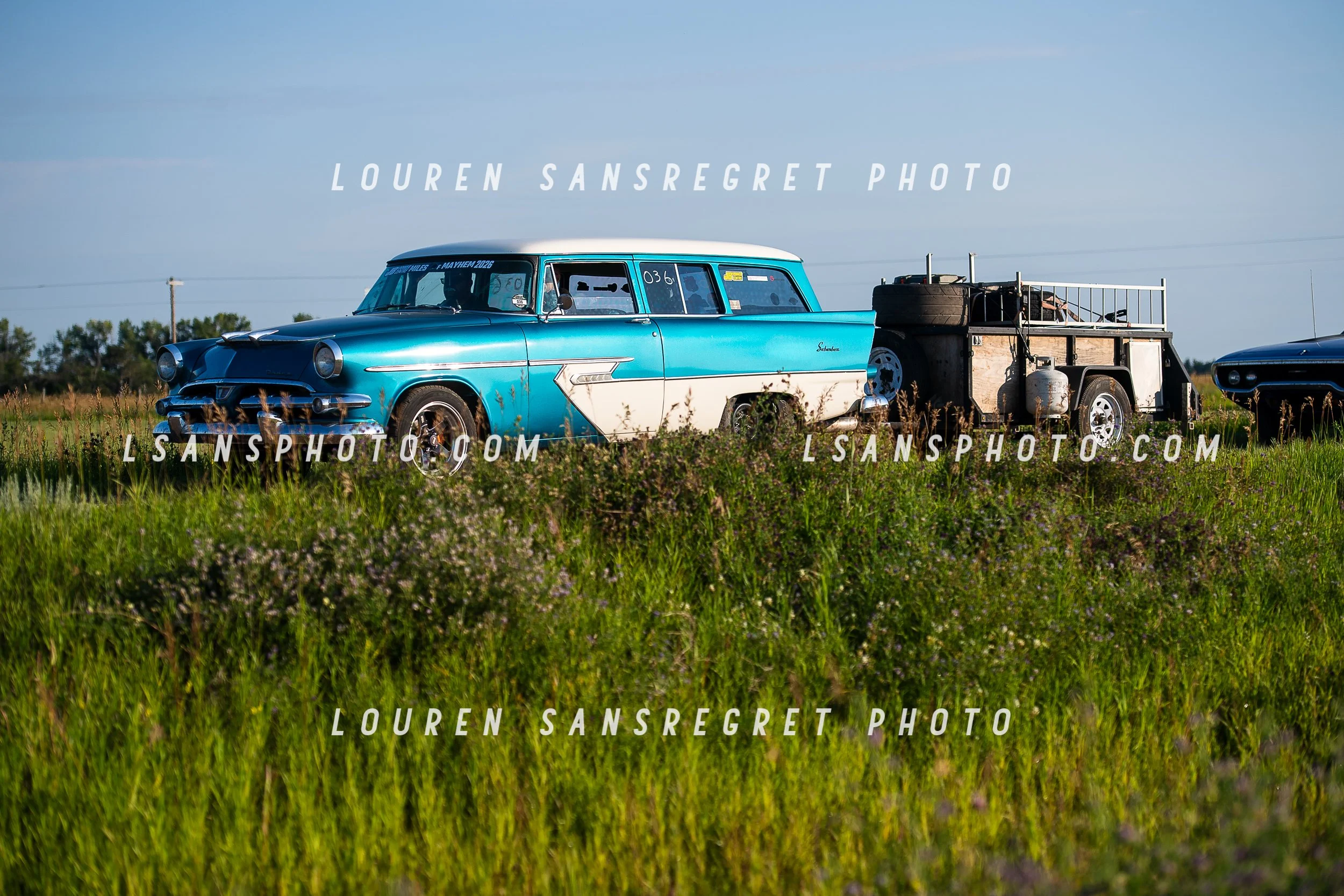 LS3_3159.jpg