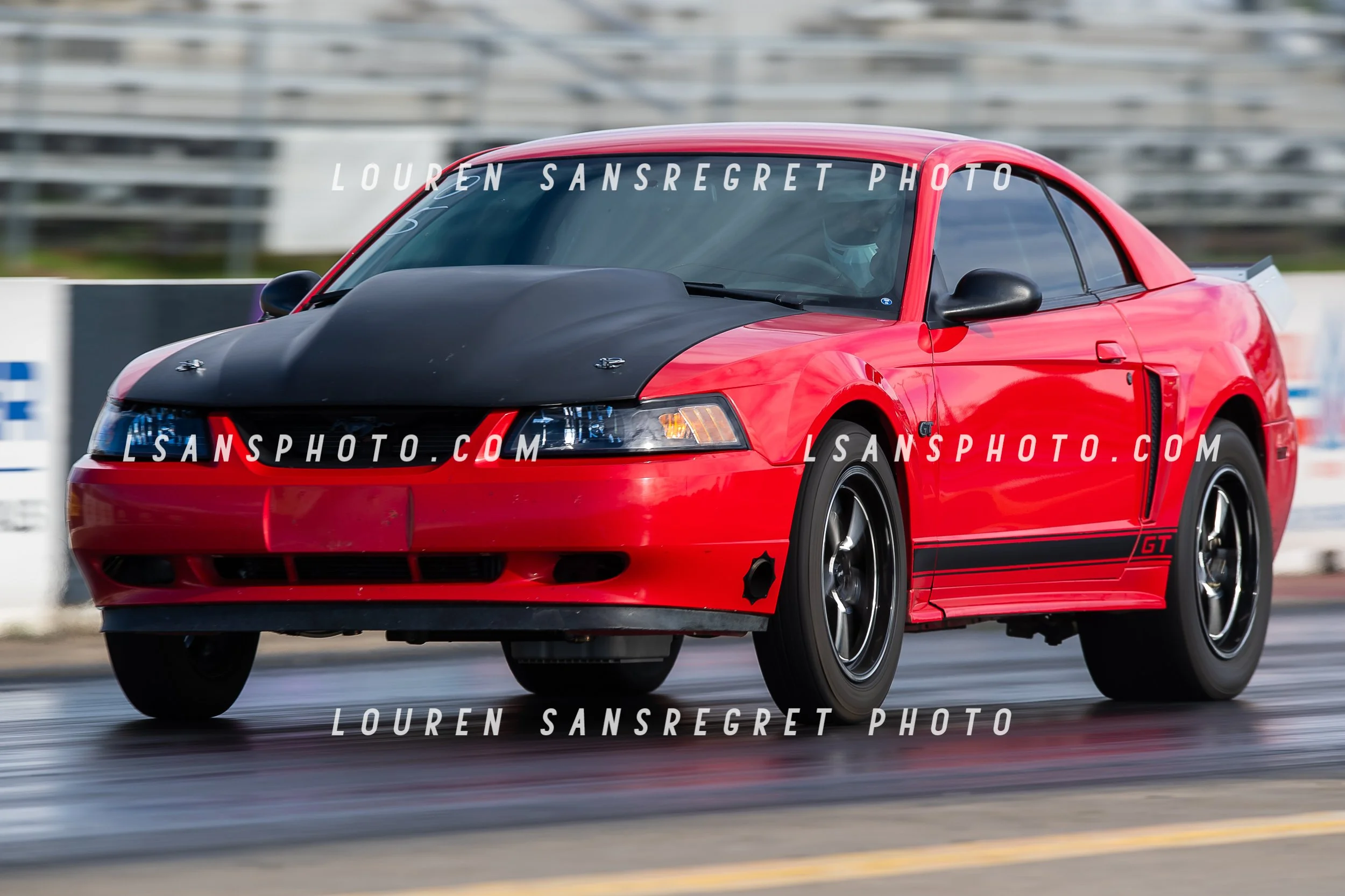 LS3_9241.jpg