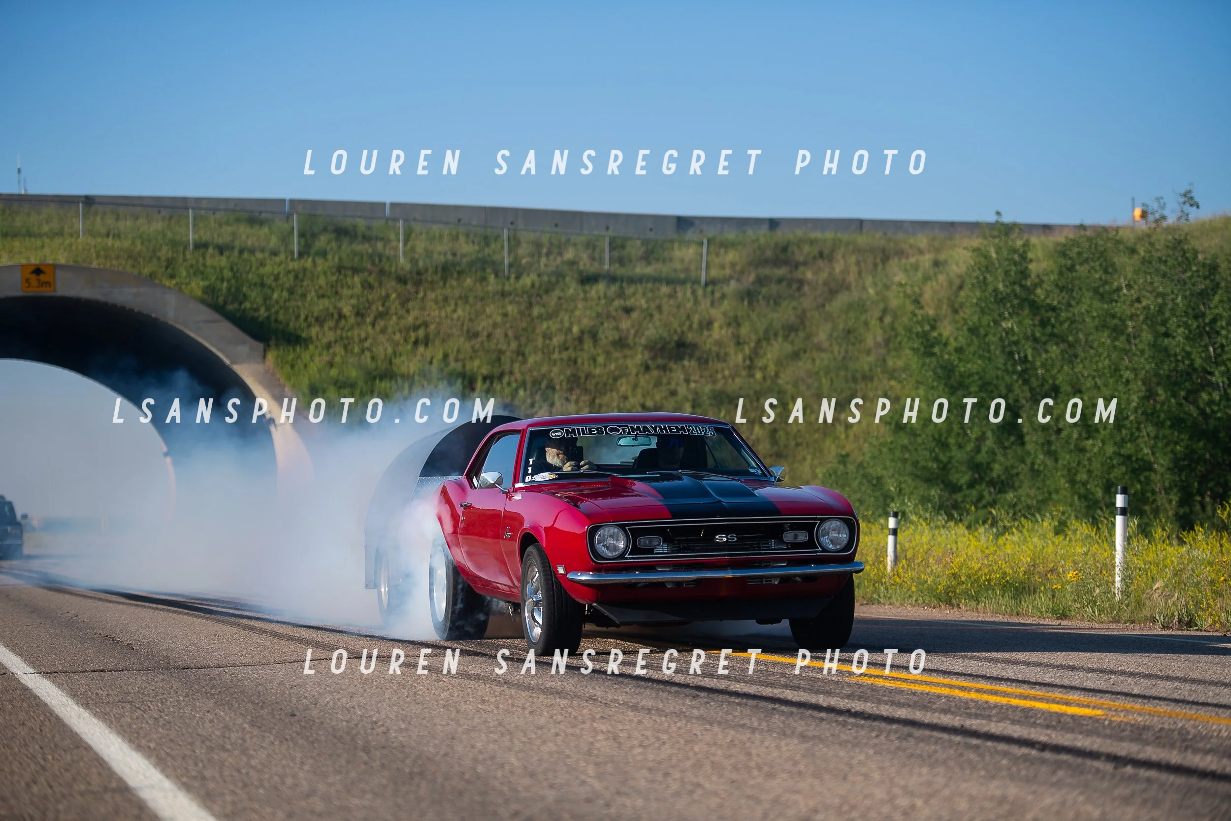 LS3_3745.jpg