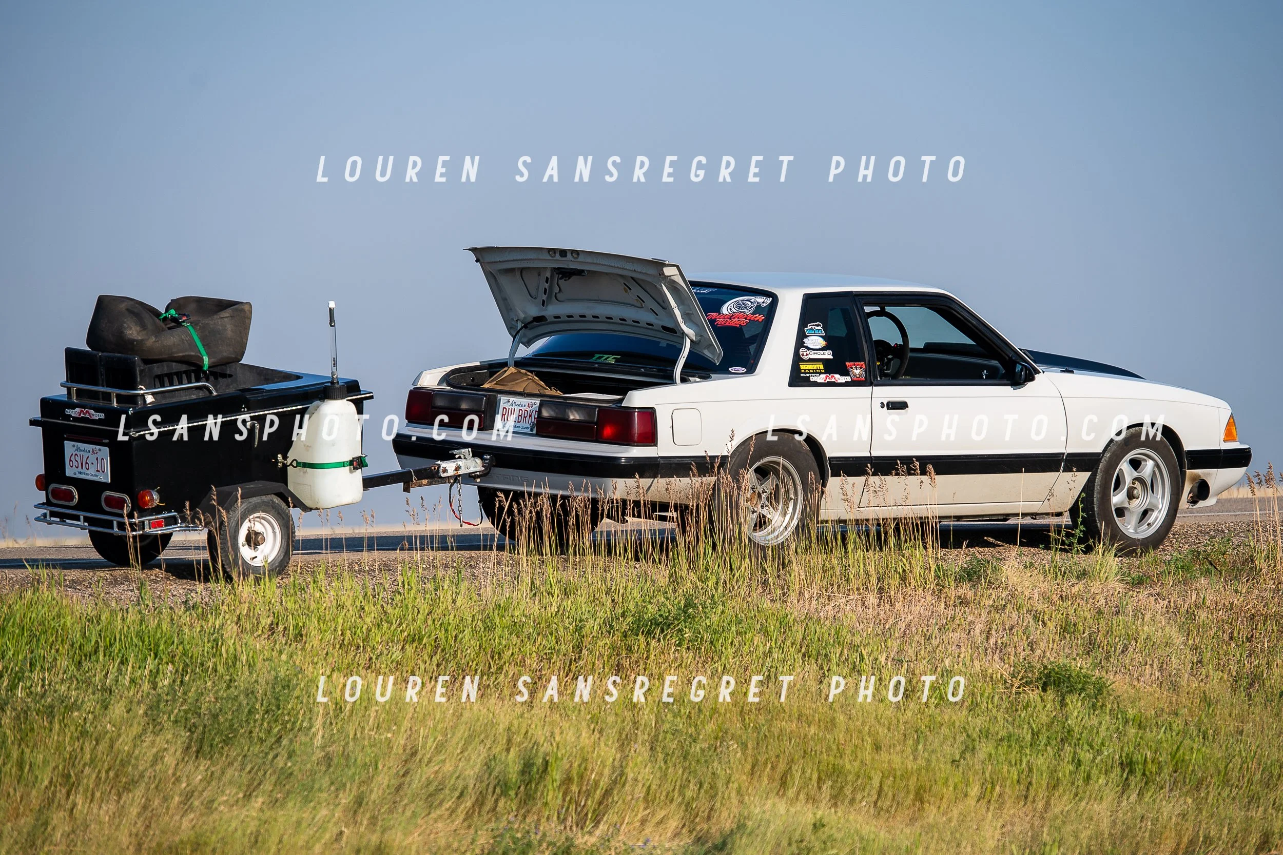 LS3_8503.jpg