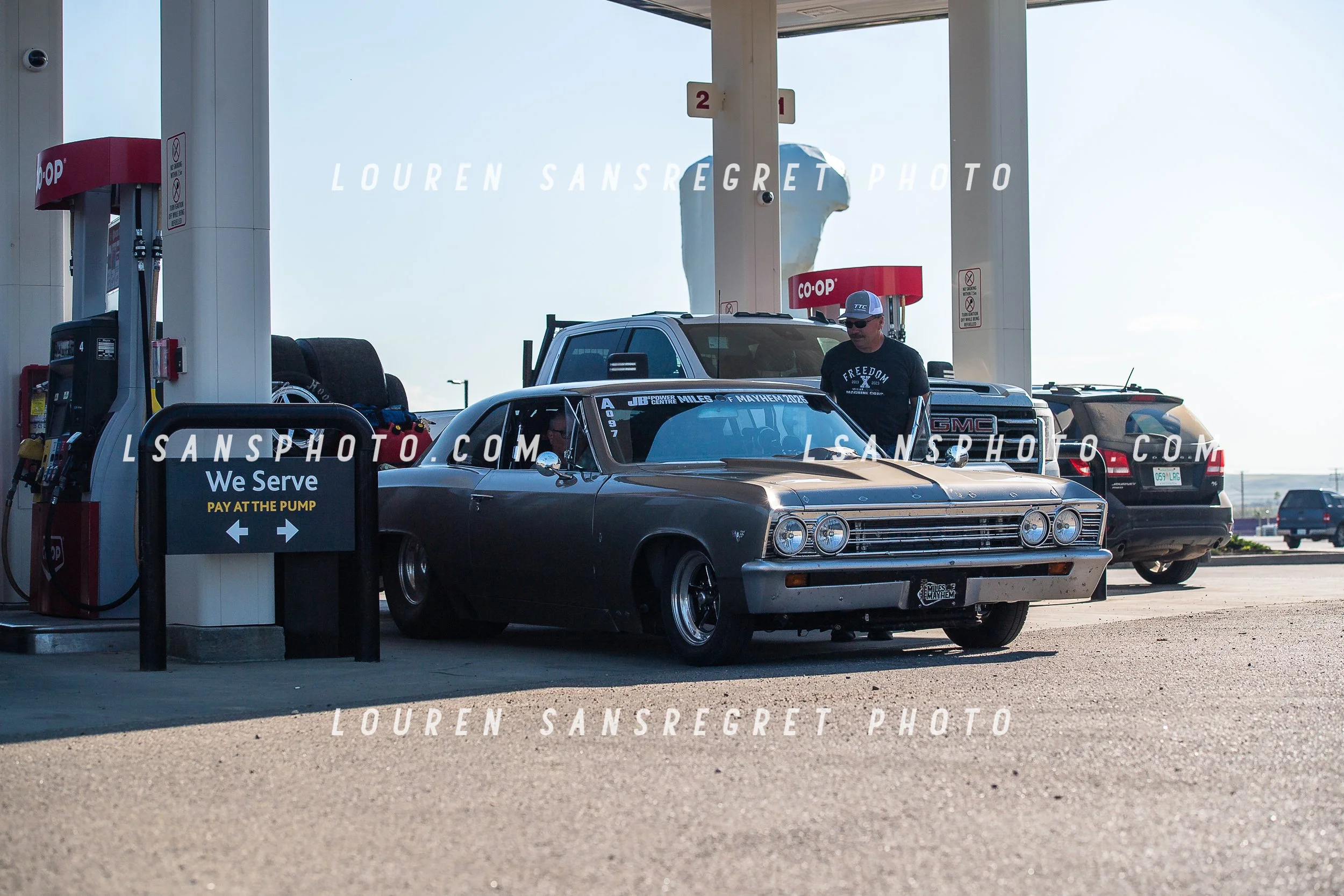 LS3_2813.jpg