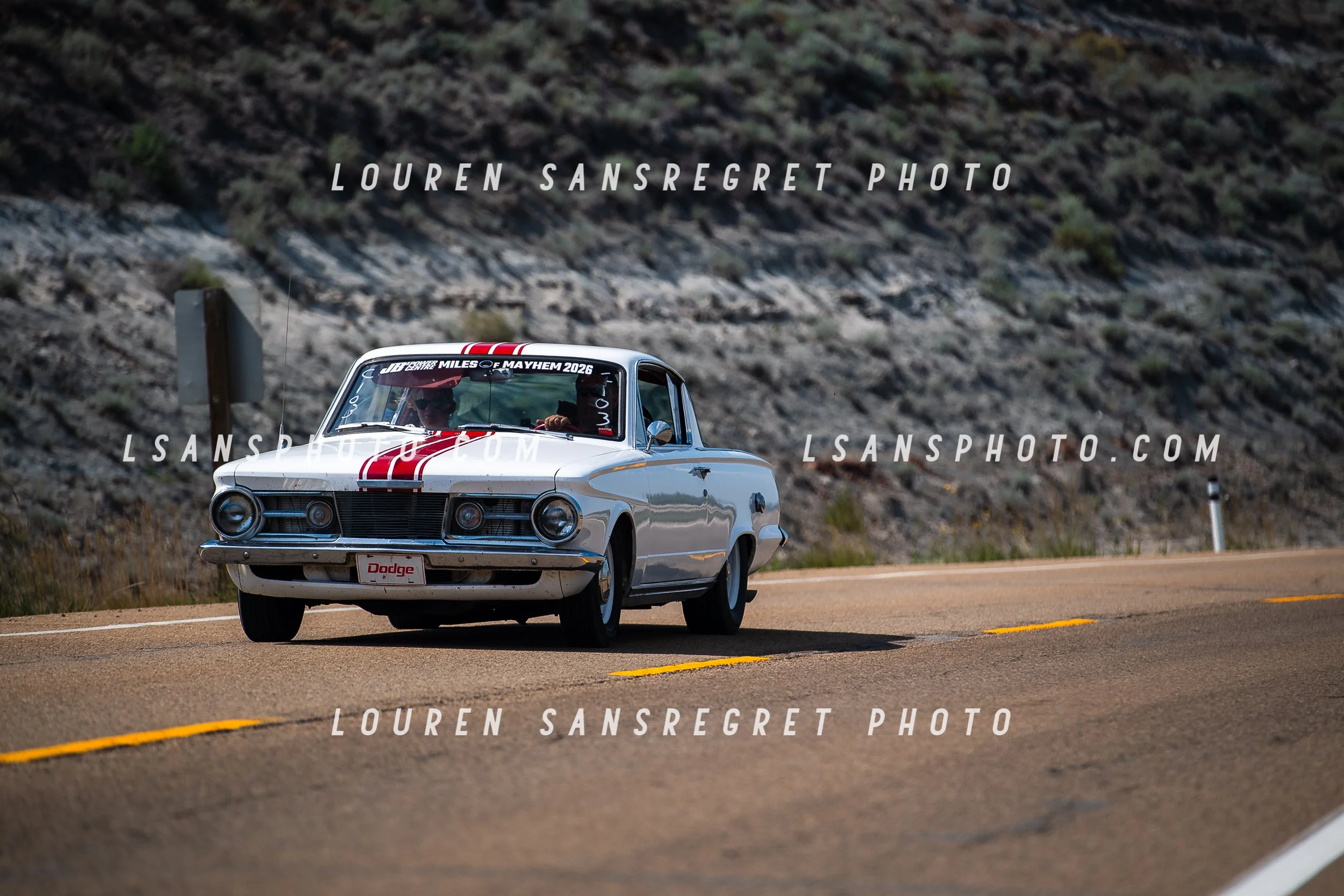 LS3_7767.jpg