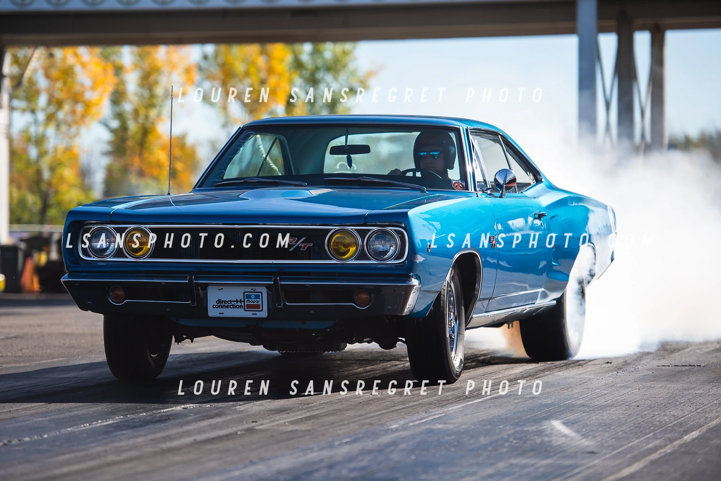 LS4_6585.jpg