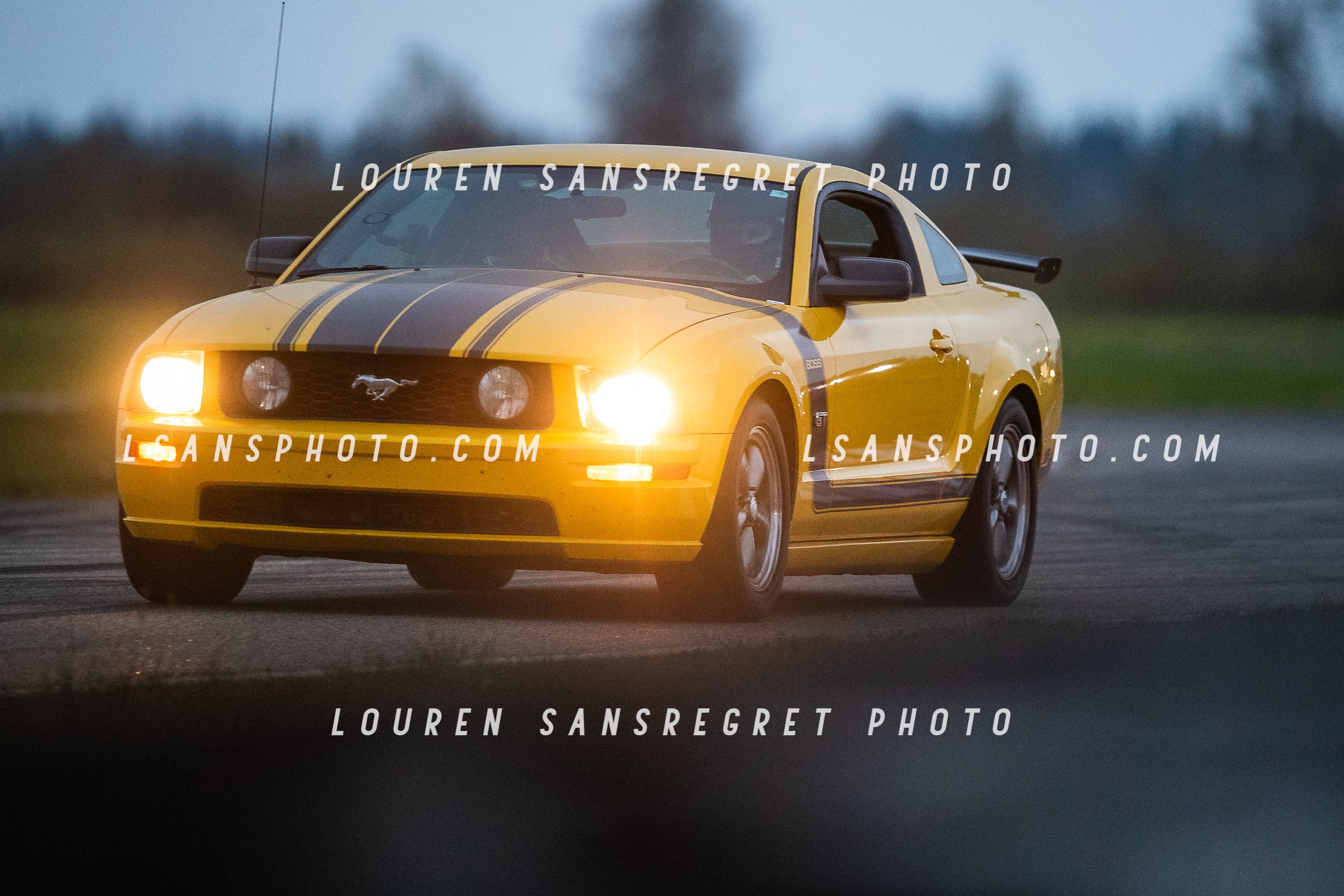 LS3_8173.jpg