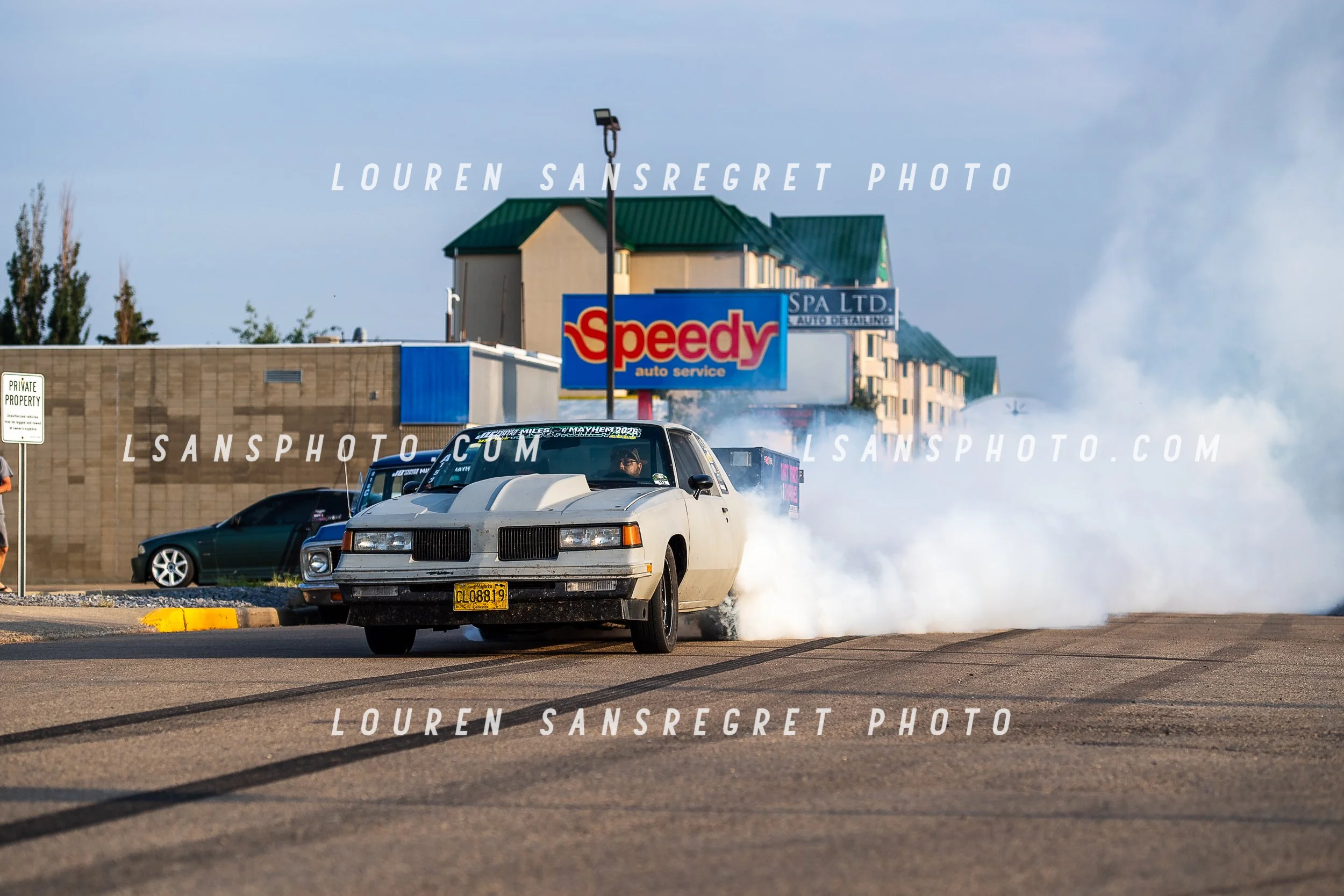 LS3_5038.jpg