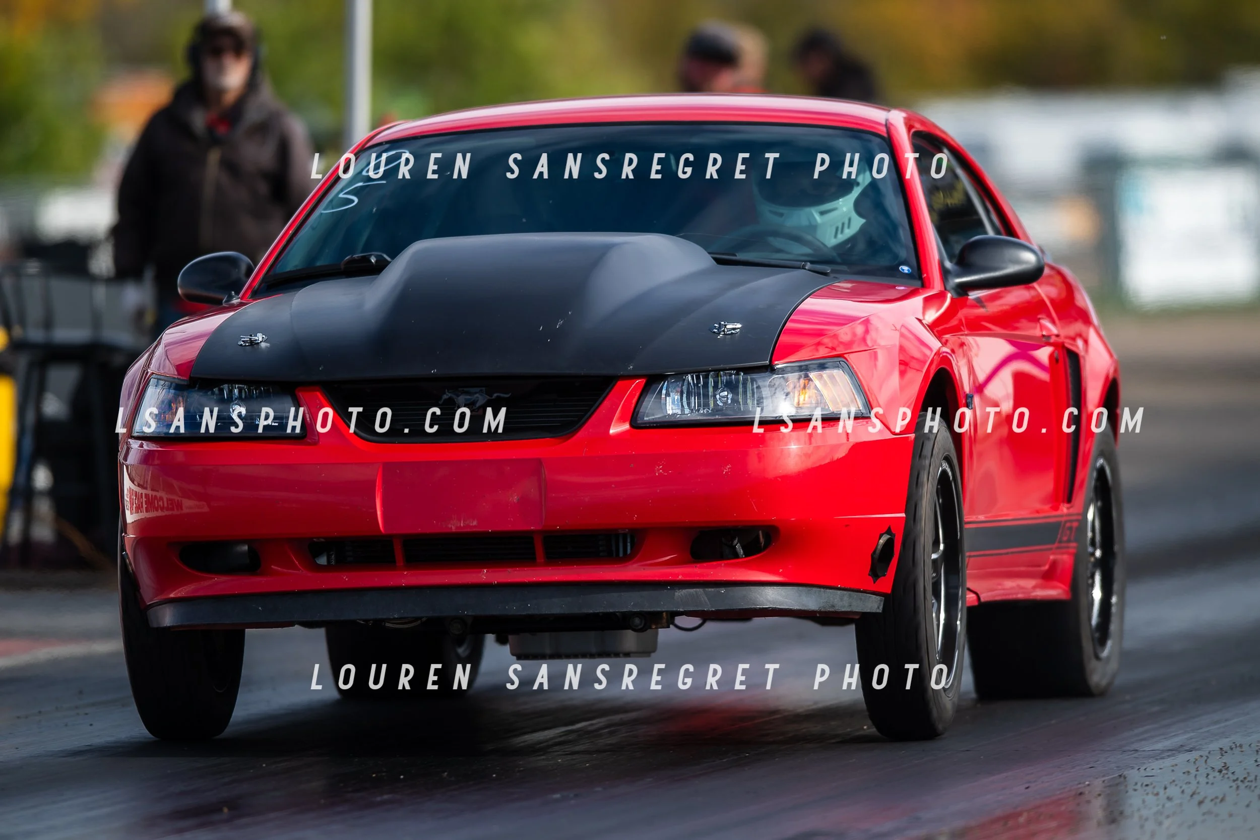 LS3_9012.jpg