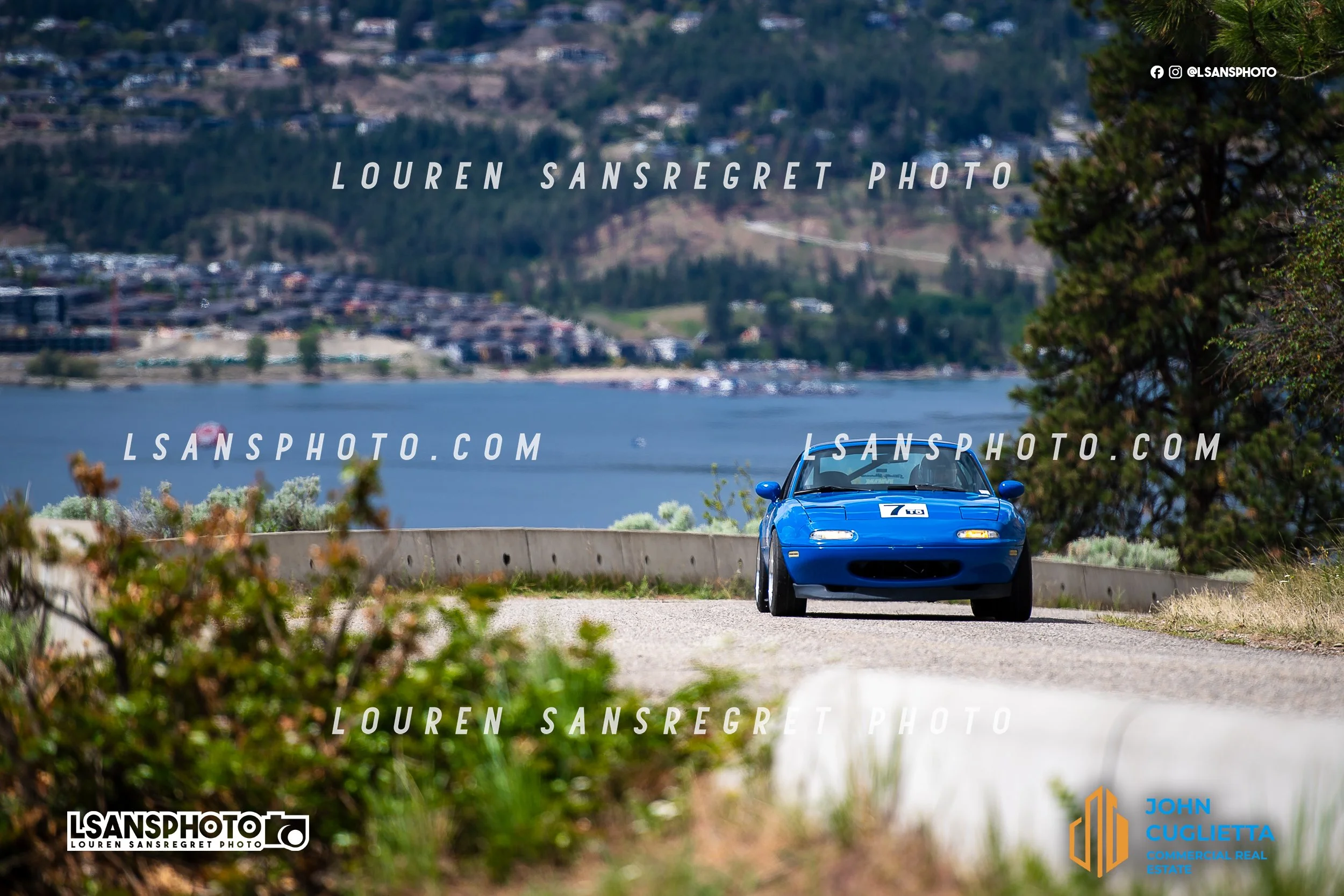 LS3_4135.jpg