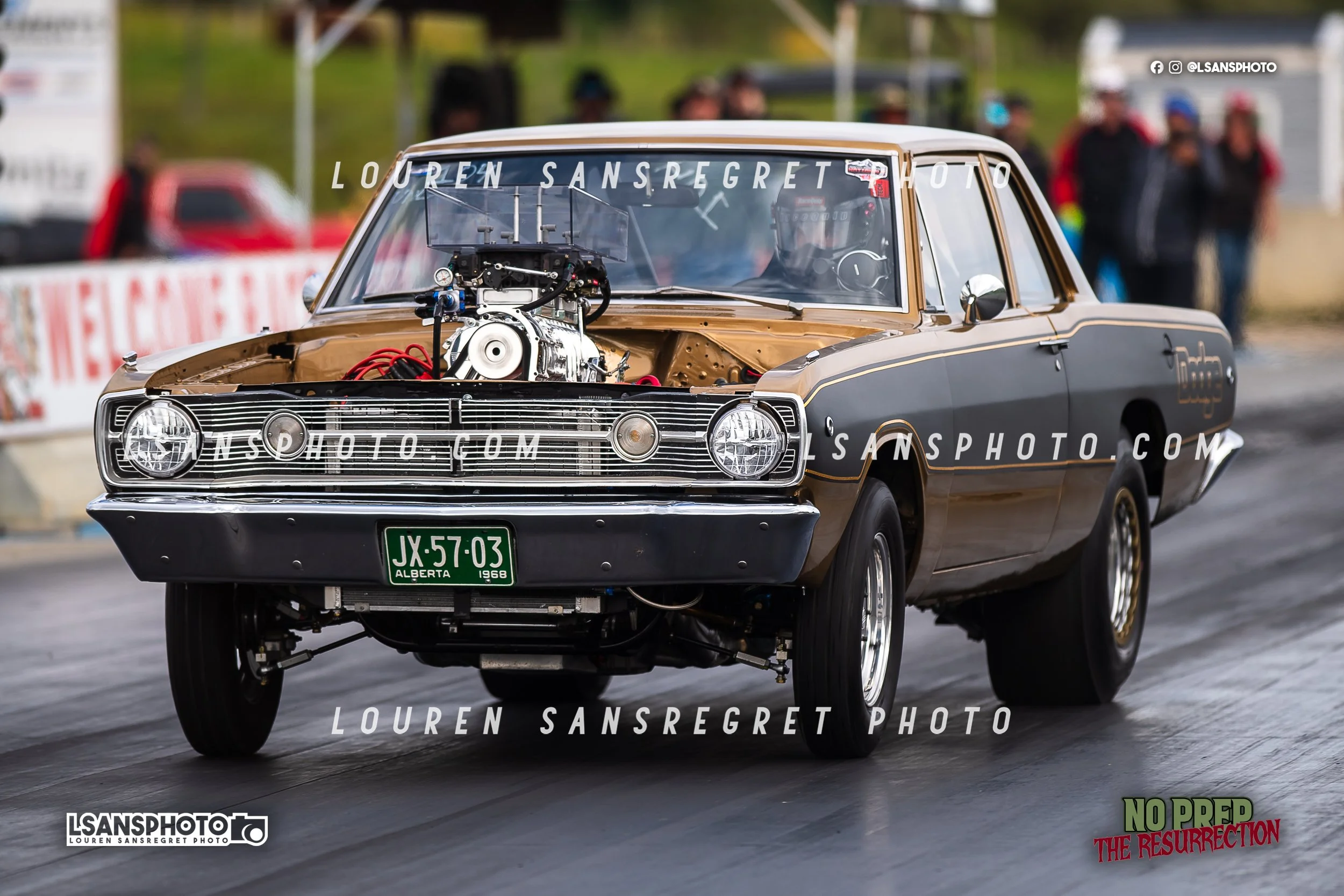LS4_4008.jpg